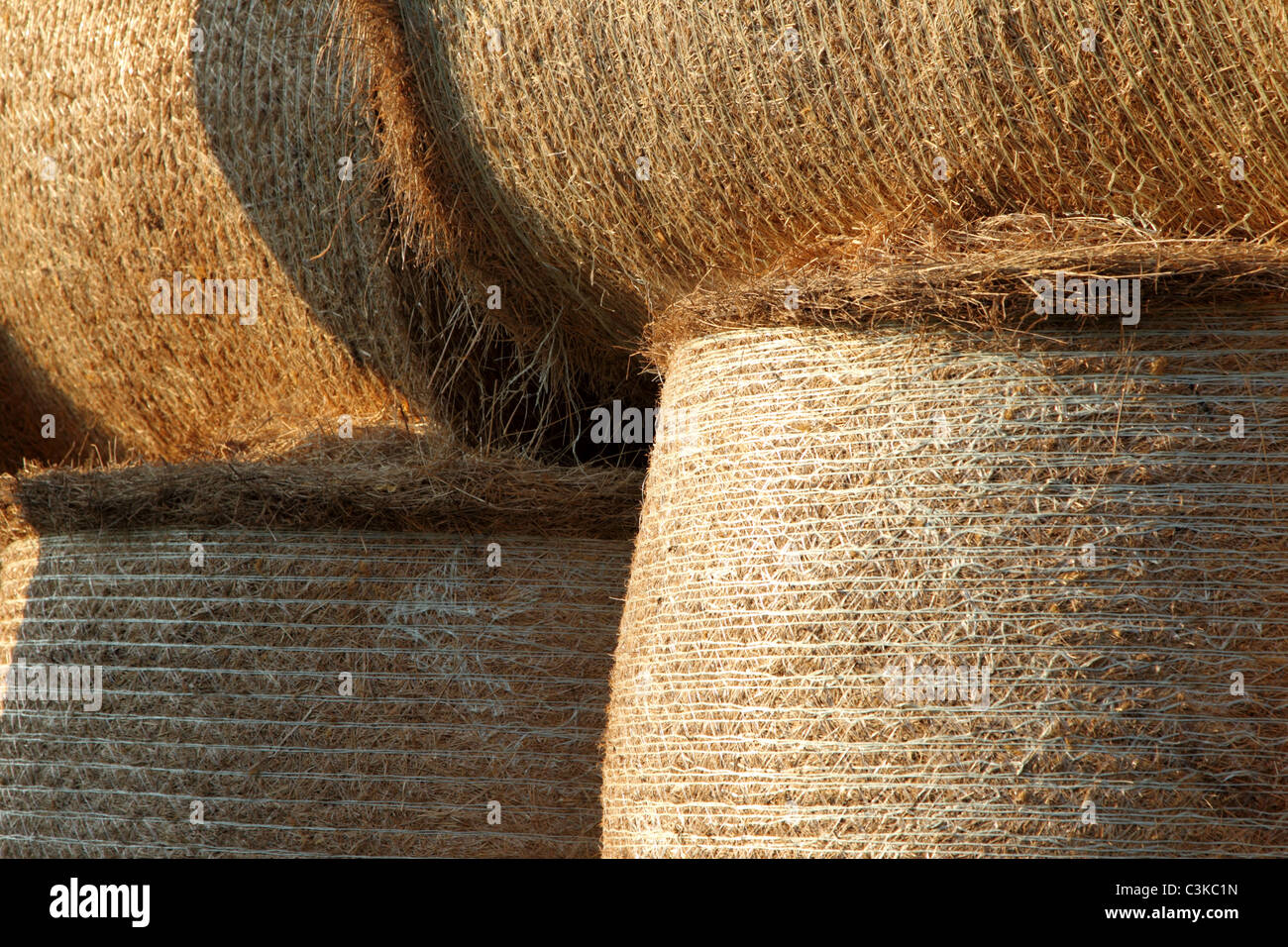 Nahaufnahme von Runde Heuballen in der Scheune gelagert Stockfoto