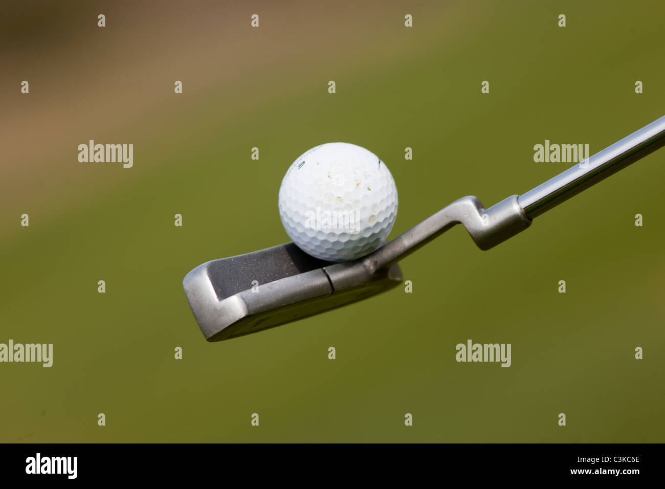 Golfball balancieren auf club Stockfoto