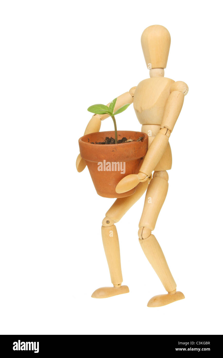 Ein Künstler hölzerne Gliederpuppe hält einen Setzling der Pflanze in einen Topf isoliert gegen weiß Stockfoto