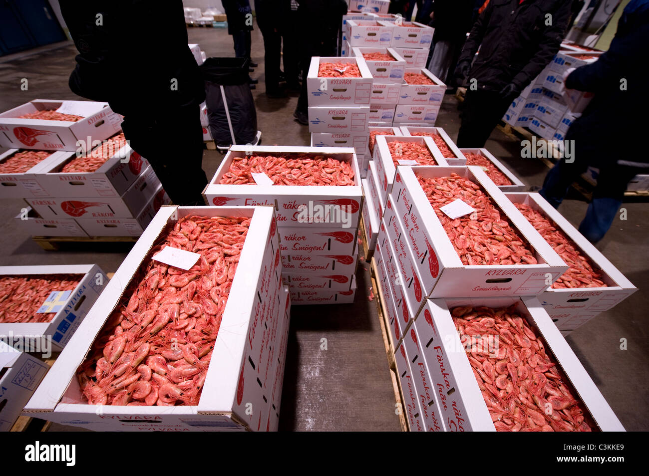 Frische Garnelen in Kästchen am Fischmarkt Stockfoto