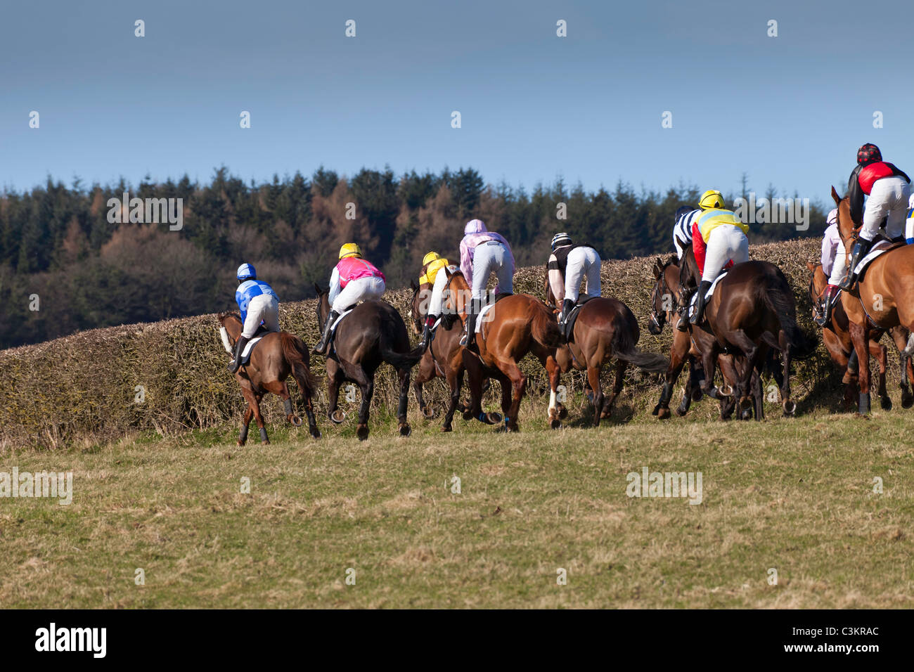 PFERDE UND REITER BEI PUNKT-ZU-PUNKT IN HOWICK CHEPSTOW WALES UK Stockfoto