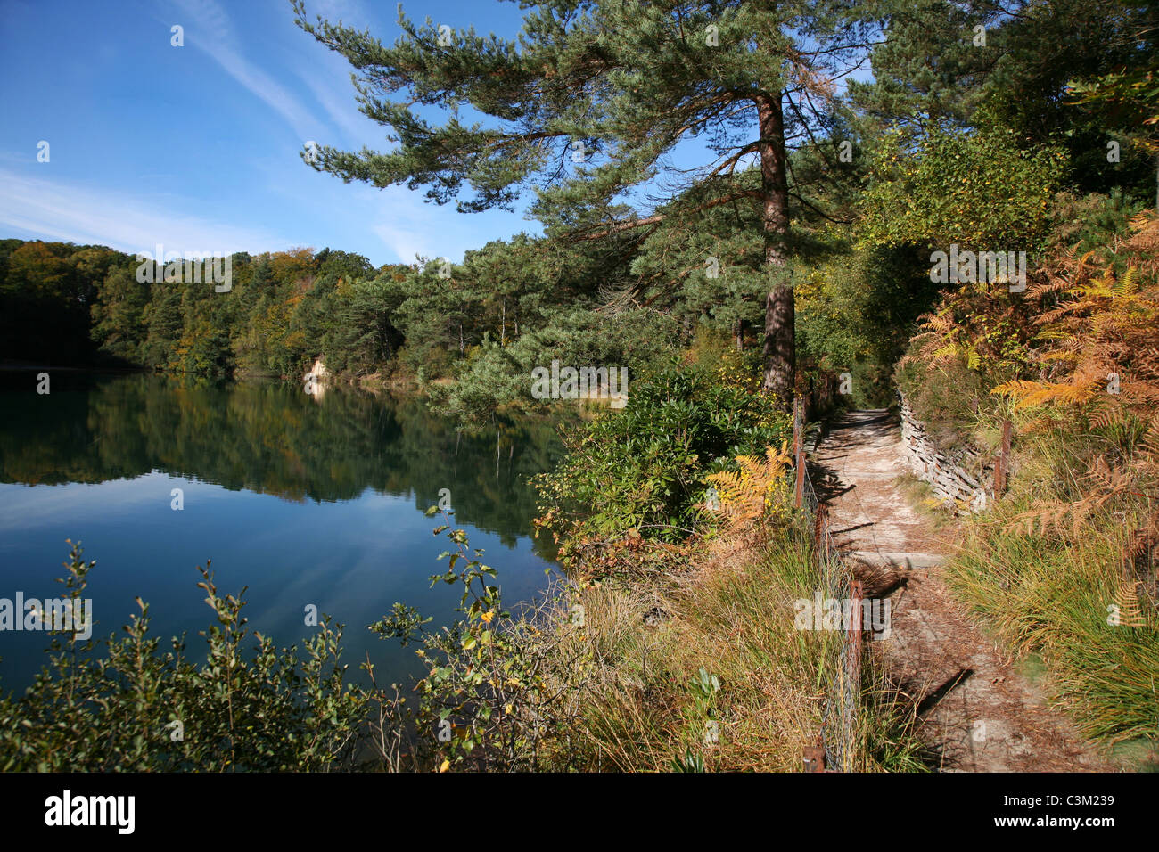 Blauen Pool - bunten See in der Furzebrook Siedlung an Stelle des stillgelegten Lehmgrube nahe dem Dorf von Corfe Castle Stockfoto