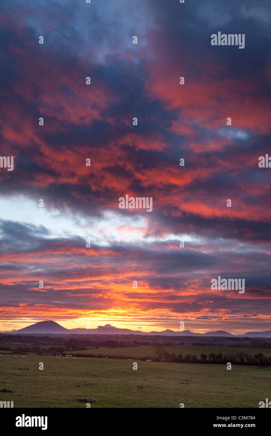 Sonnenuntergang über der Nephin Beg Berge, County Sligo, Irland. Stockfoto