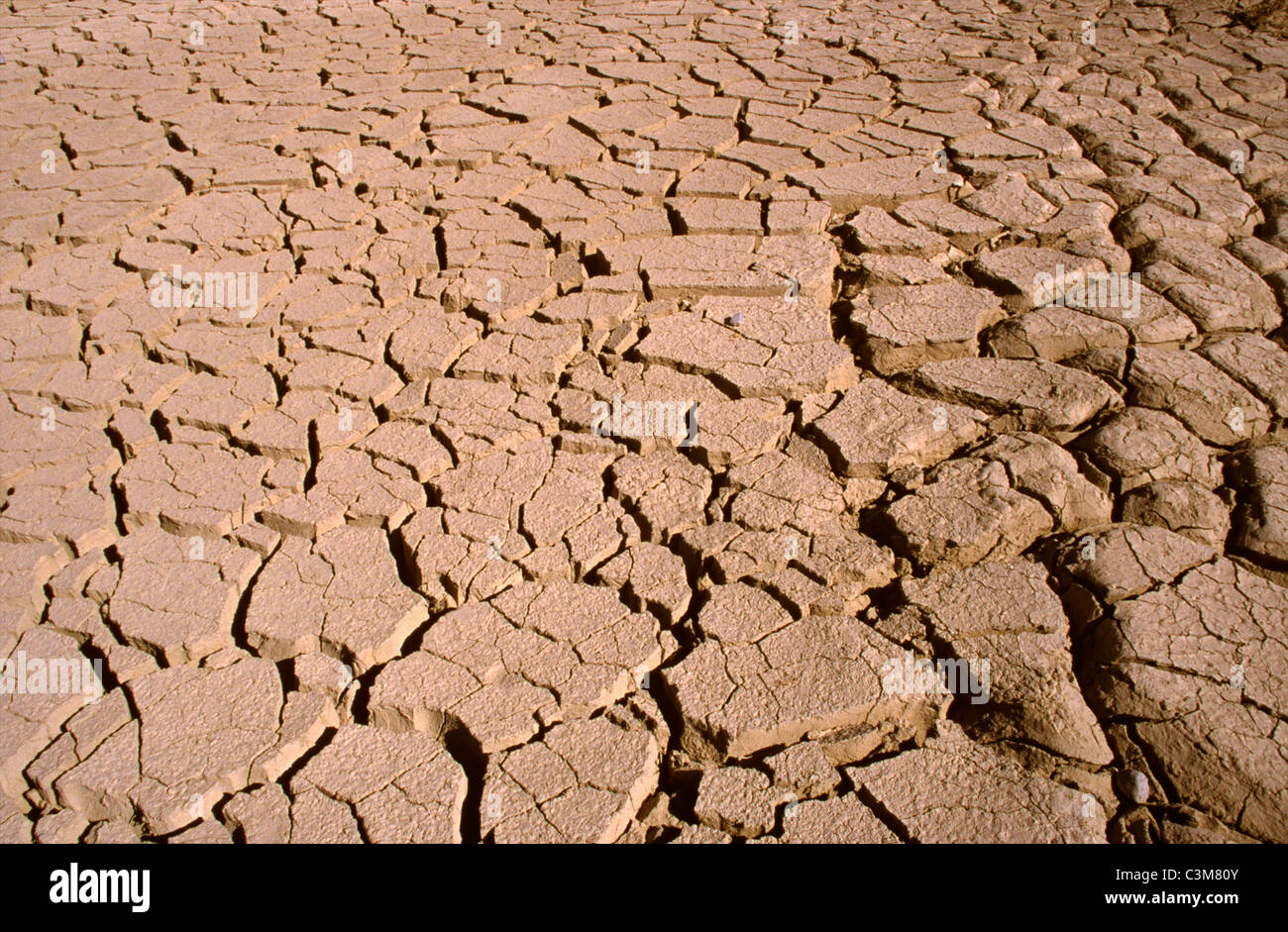 Dürre in Äthiopien Stockfoto