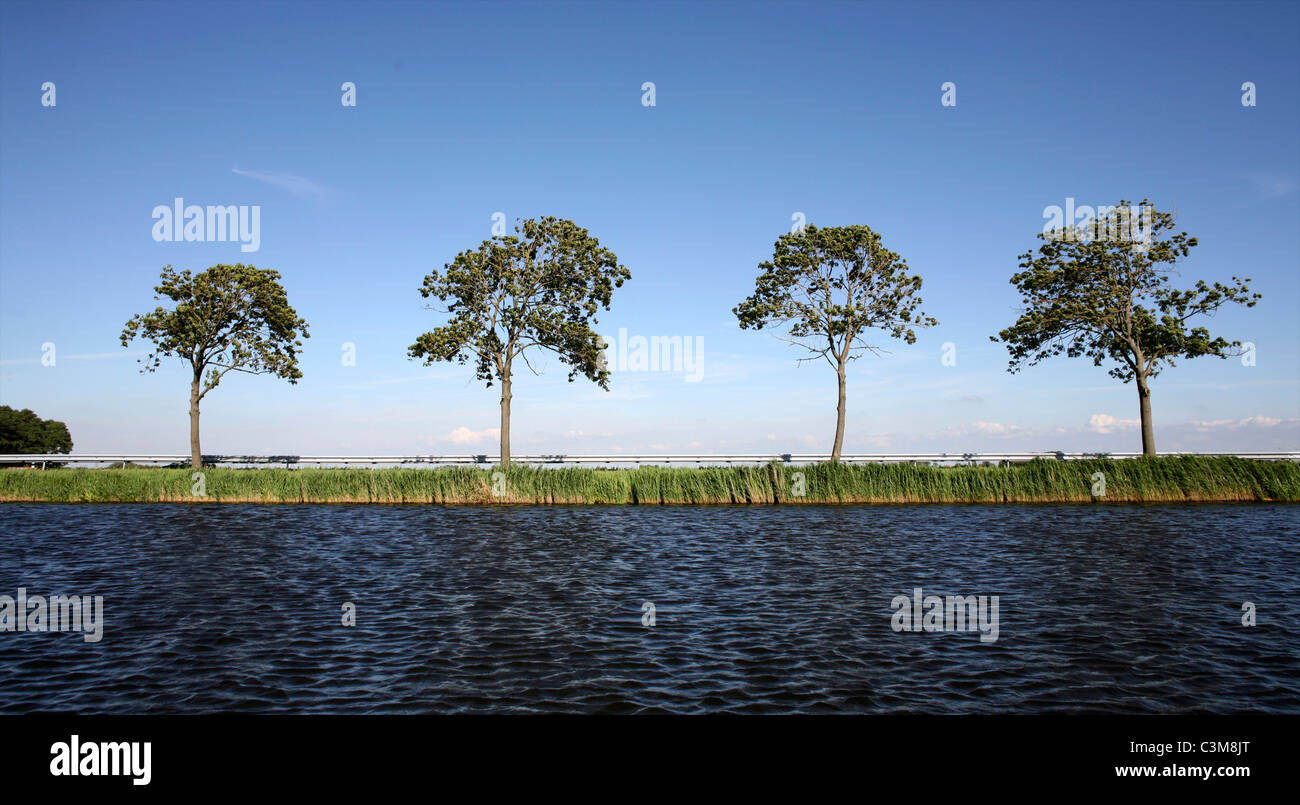 Gewässer in Holland Stockfoto