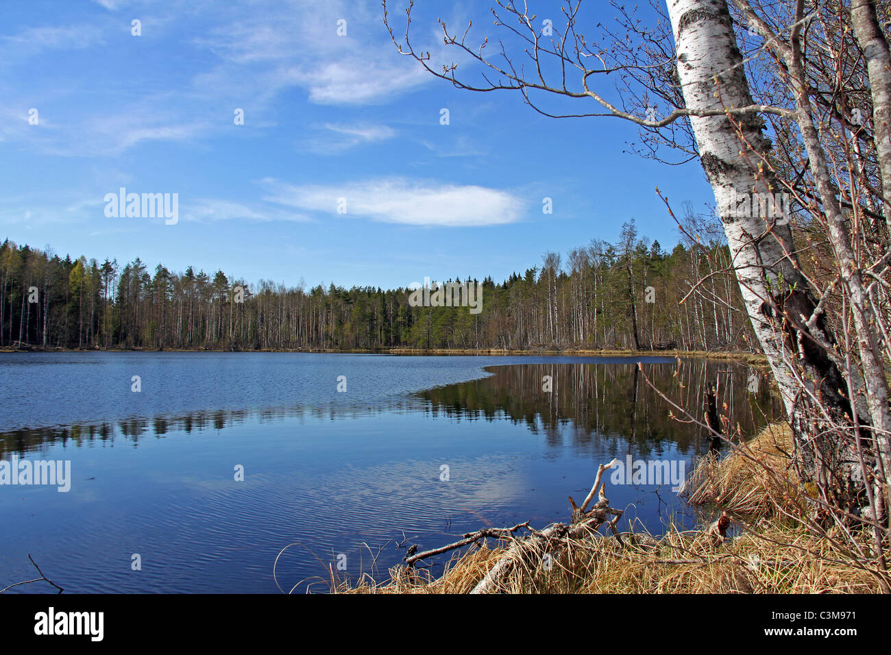 Ruhige See-Landschaft in Finnland Stockfoto