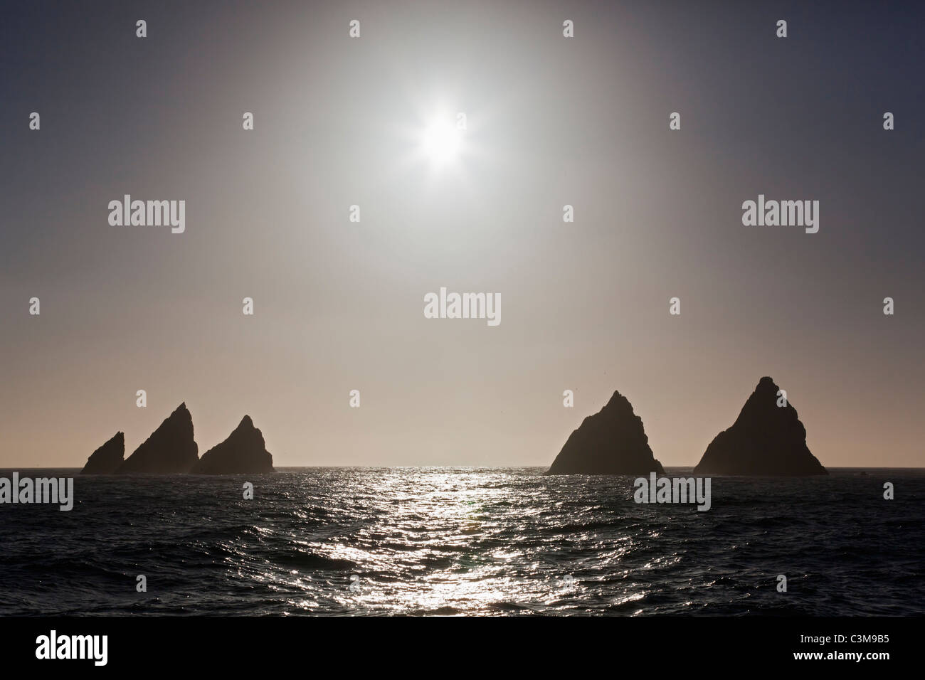 Süd-Atlantik, Vereinigtes Königreich, Süd-Georgien & der Süd-Sandwich-Inseln, Felsen Ansicht des Shag bei Sonnenuntergang Stockfoto