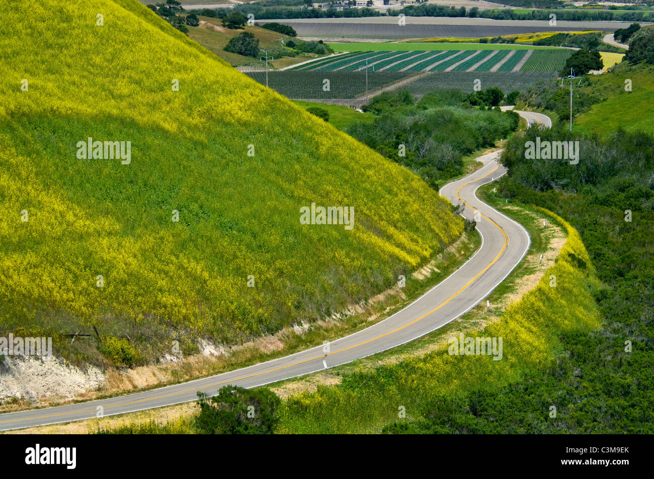 Land Straße Kurven durch grüne Hügel und Landwirtschaft-Tal ist der Frühling, in der Nähe von Lompoc, Santa Barbara County, Kalifornien Stockfoto