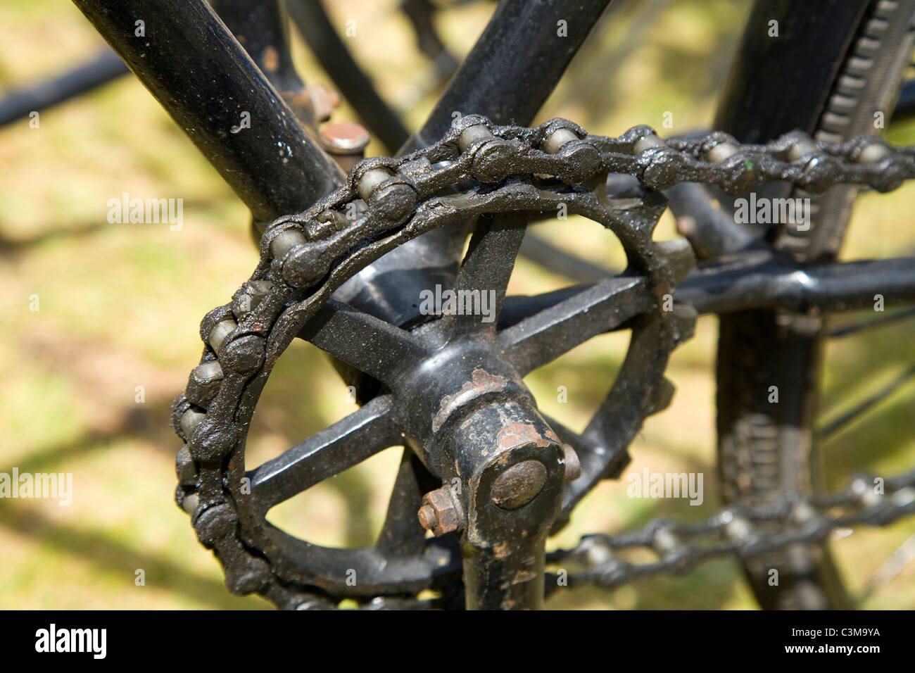 Vordere Kettenrad, Kurbel und Kette mit großen Linktipps und früh / alten  viktorianischen Ära Fahrrad / Fahrrad / Fahrrad Stockfotografie - Alamy