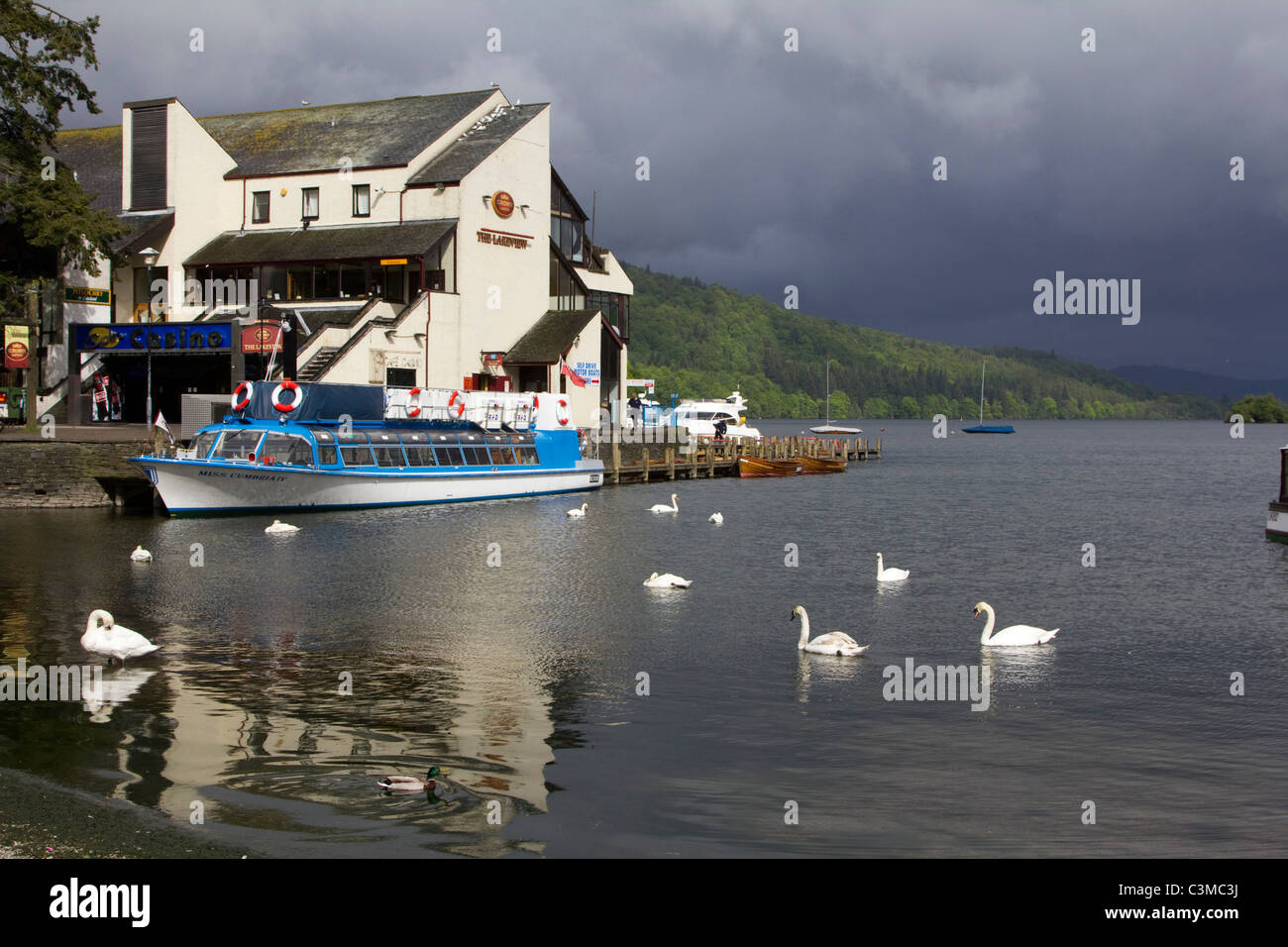 Lake Windermere Vögel am Strand Bowness Cumbria Lake district England uk gb Stockfoto