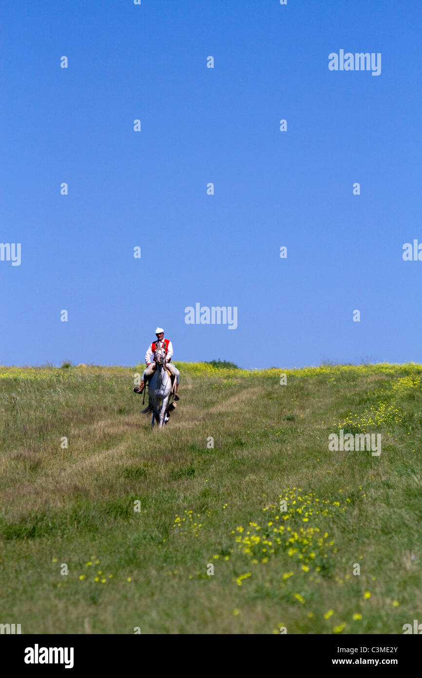 Gaucho Reiten Reiten auf der Pampas von Argentinien. Stockfoto