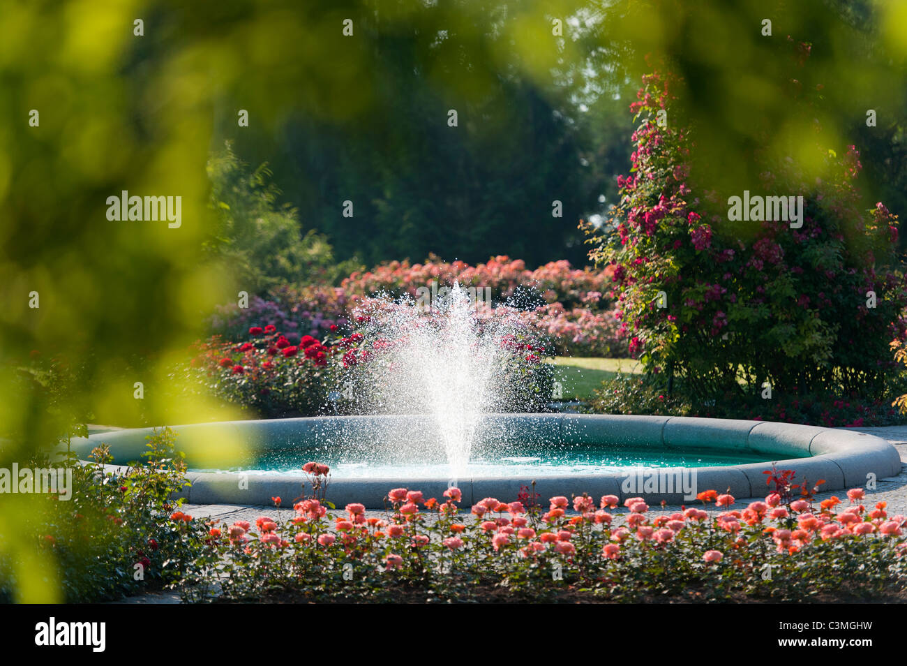 Deutschland, Blick auf Brunnen im italienischen Rosengarten Stockfoto