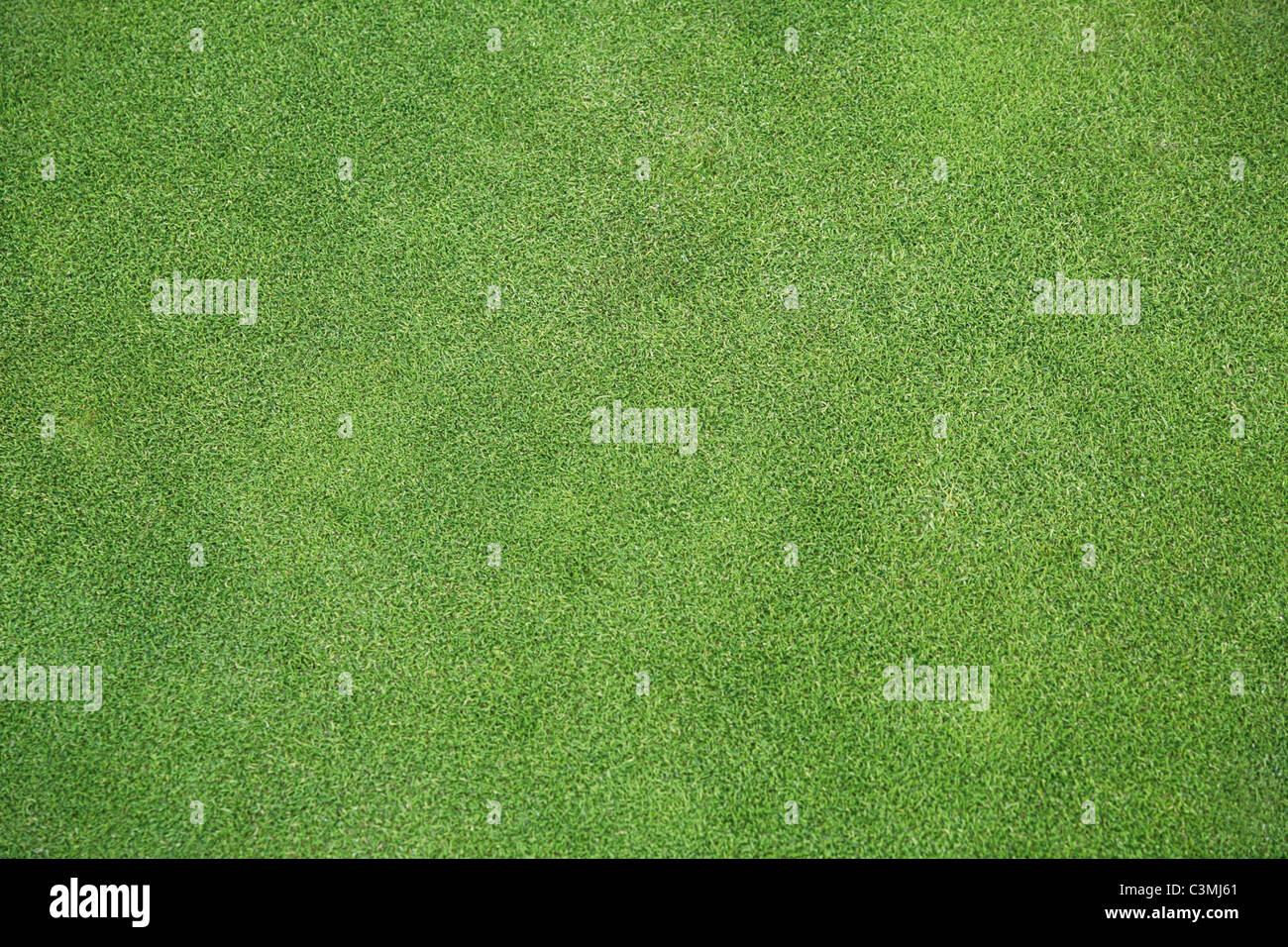 Deutschland, Oberbayern, Blick auf leere Golfplatz Stockfoto