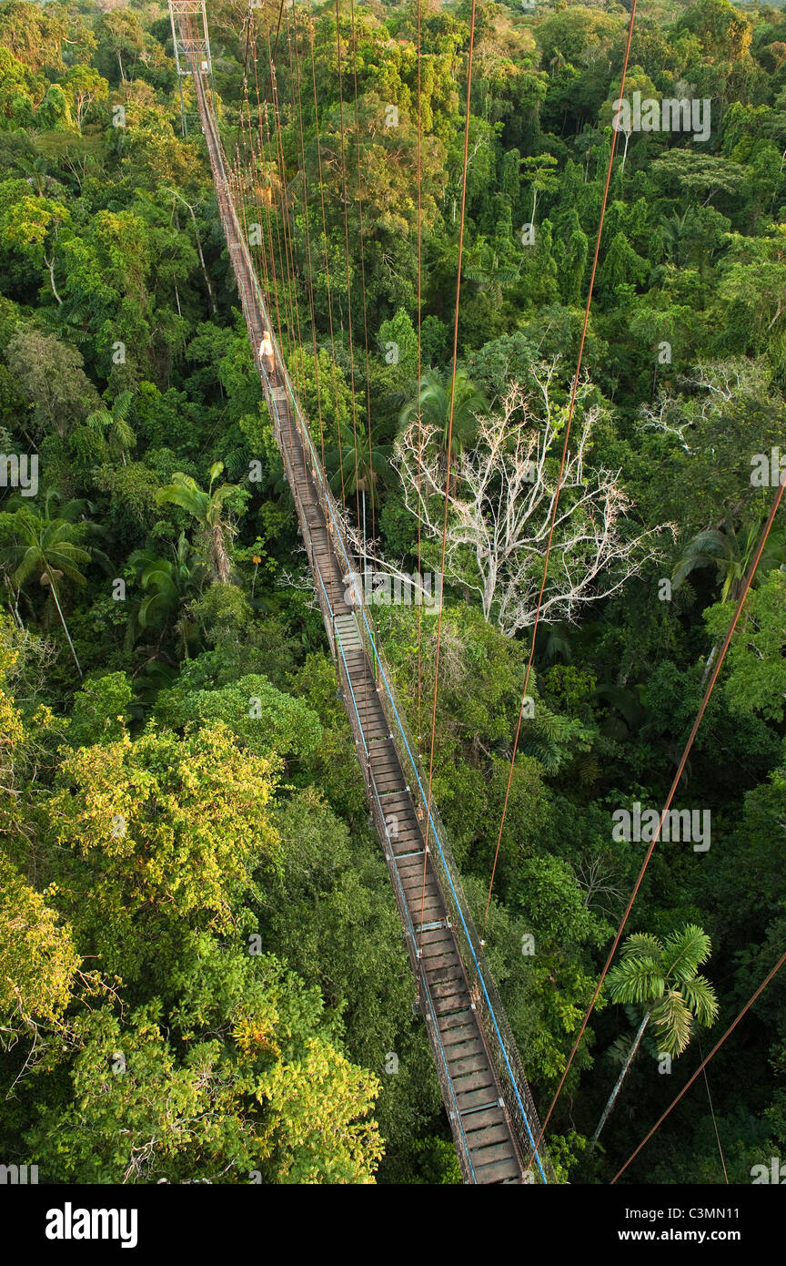 Überdachunggehweg in der Sacha Lodge, Napo Fluss an der Grenze Yasuni-Nationalpark in Ecuador Stockfoto