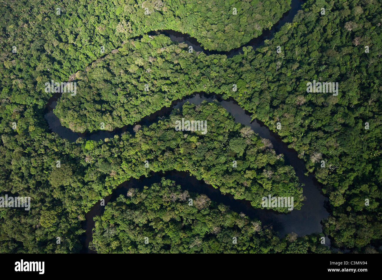 Mäandernden Fluss im Cuyabeno Reservat., Amazonasregenwald. Stockfoto