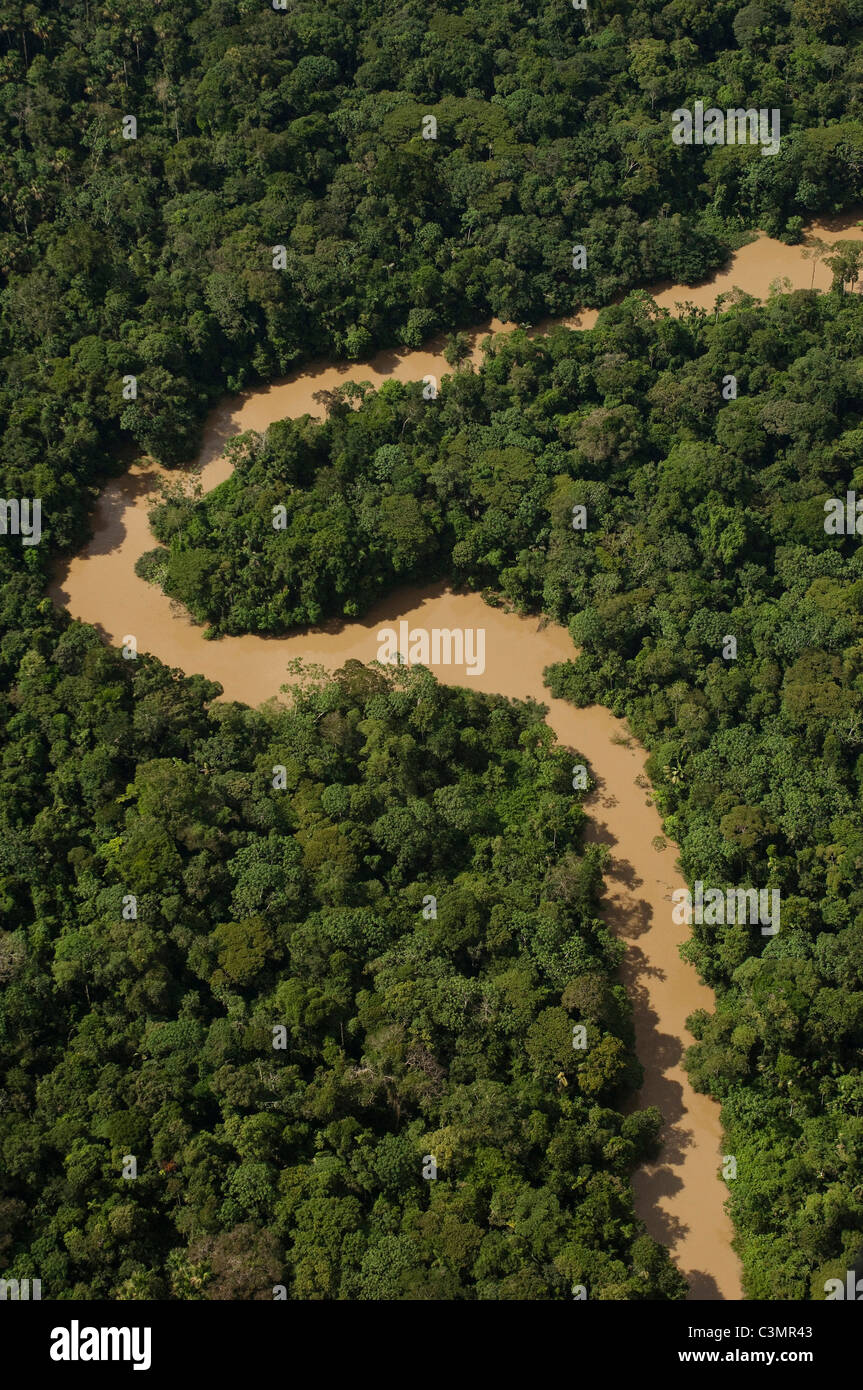 Tiguino Fluss Mäander im tropischen Regenwald im Yasuni-Nationalpark. Amazonas-Regenwald, Ecuador. Stockfoto