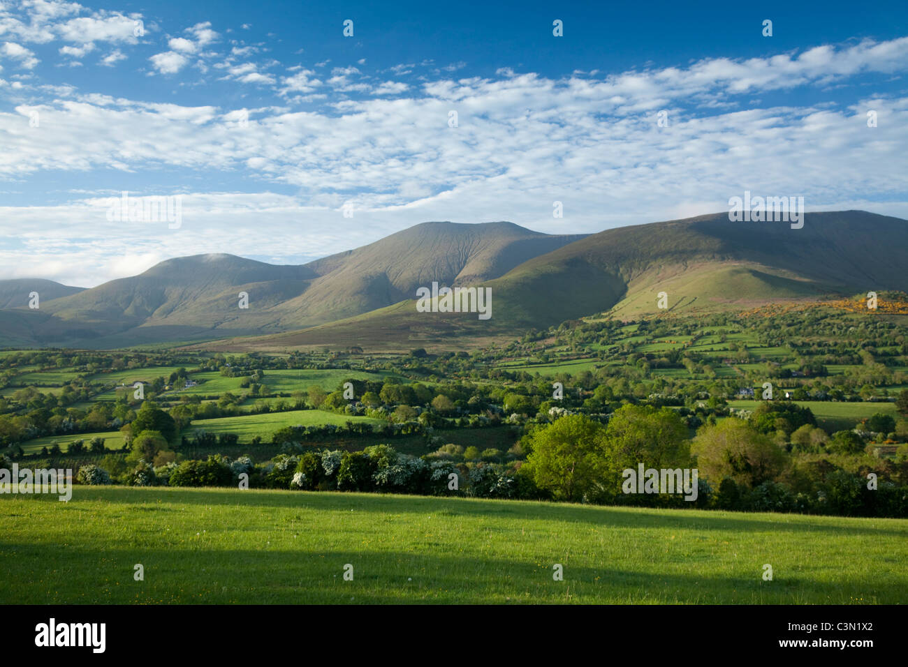 Das Glen of Aherlow und die Galtee Mountains, County Tipperary, Irland. Stockfoto