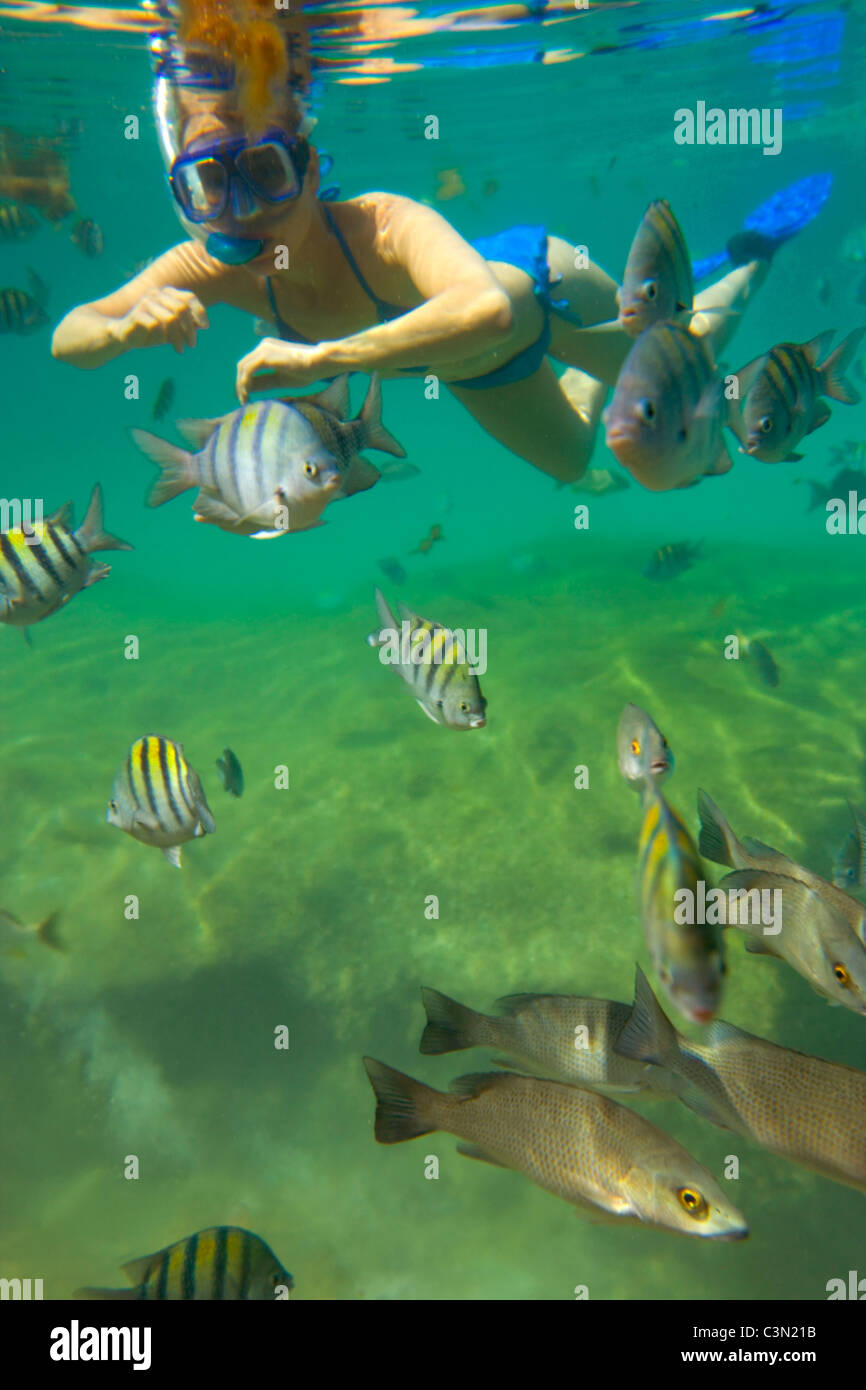 Mexiko, Quintana Roo, Xel-Ha Naturpark. Schnorcheln und Farbe Tourismus Tourist reisen Destinationfull Fisch. Stockfoto