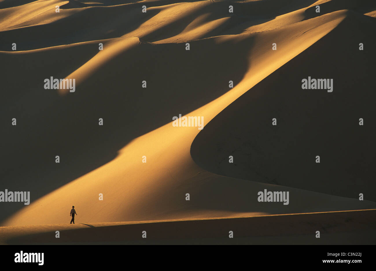 Niger. in der Nähe von Agadez. Wüste Sahara. Tenere-Wüste. Sanddünen von Temet. Tourist, Frau, Wanderer. Stockfoto