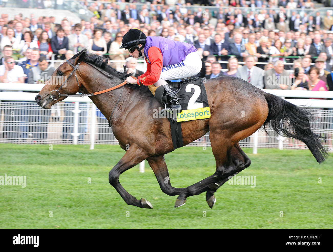 CARLTON Haus GERITTEN von RYAN M TOTESPORT DANTE STAKES YORK RACECOURSE YORK ENGLAND 12. Mai 2011 Stockfoto