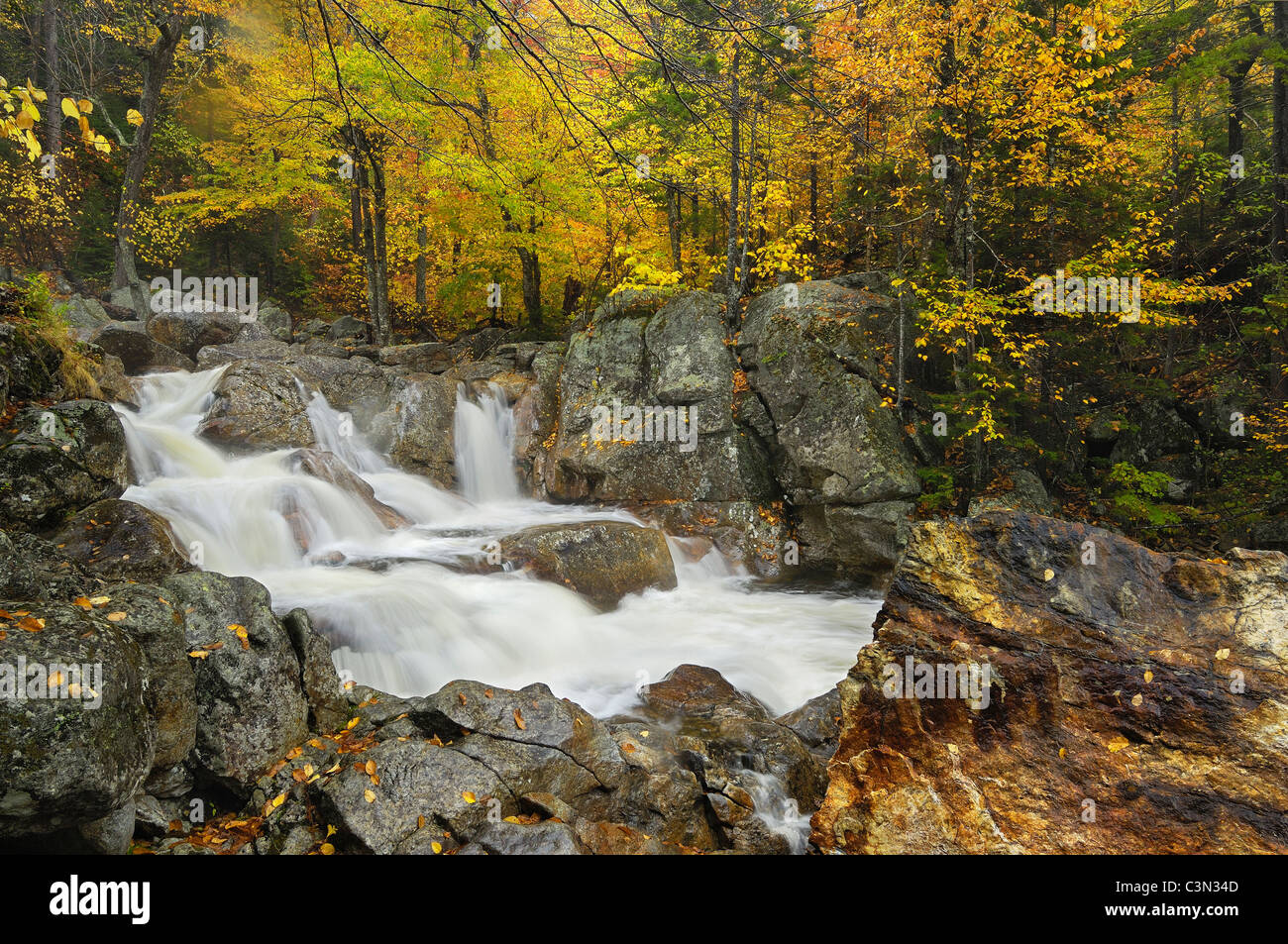Herbst Wasserfälle in North Woods Stockfoto