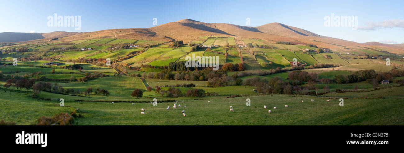 Sawel und Dart Berge erheben sich über Glenelly Tal, Sperrin Mountains im County Tyrone, Nordirland. Stockfoto