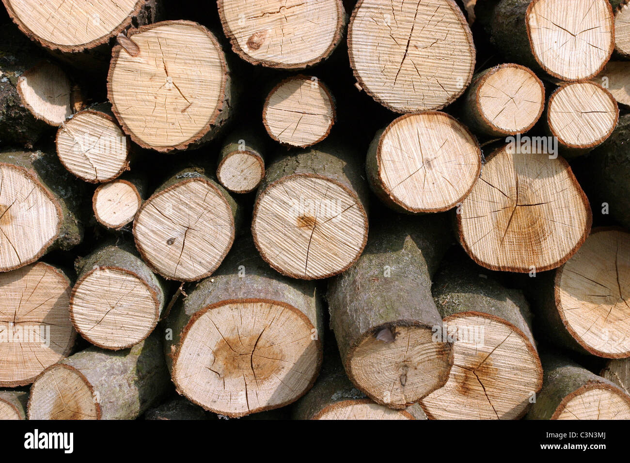 Holzstapel Stockfoto