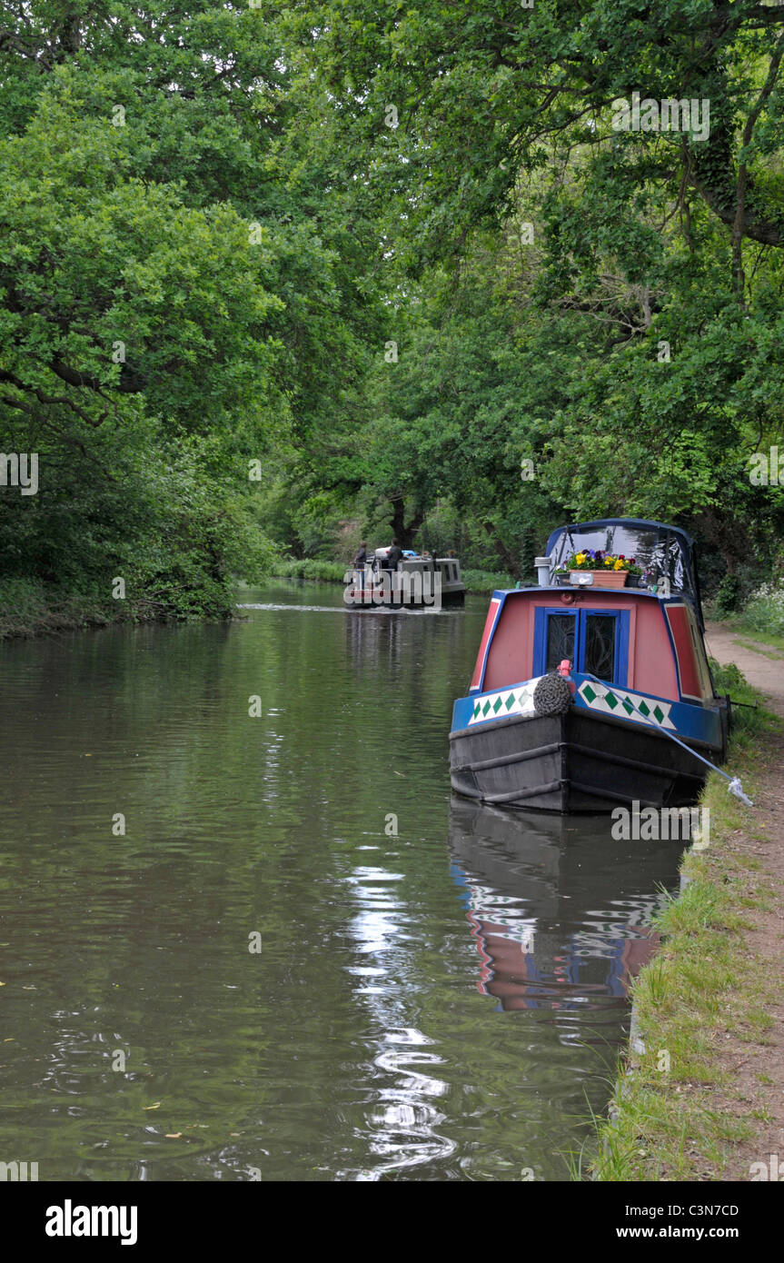 Kanalboote am Fluss Wey, Surrey, England Stockfoto