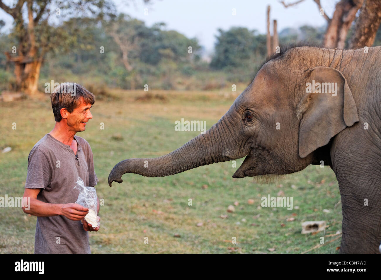 Nepal - Chitwan Nationalpark - Elefanten Zucht Zentrum Stockfoto