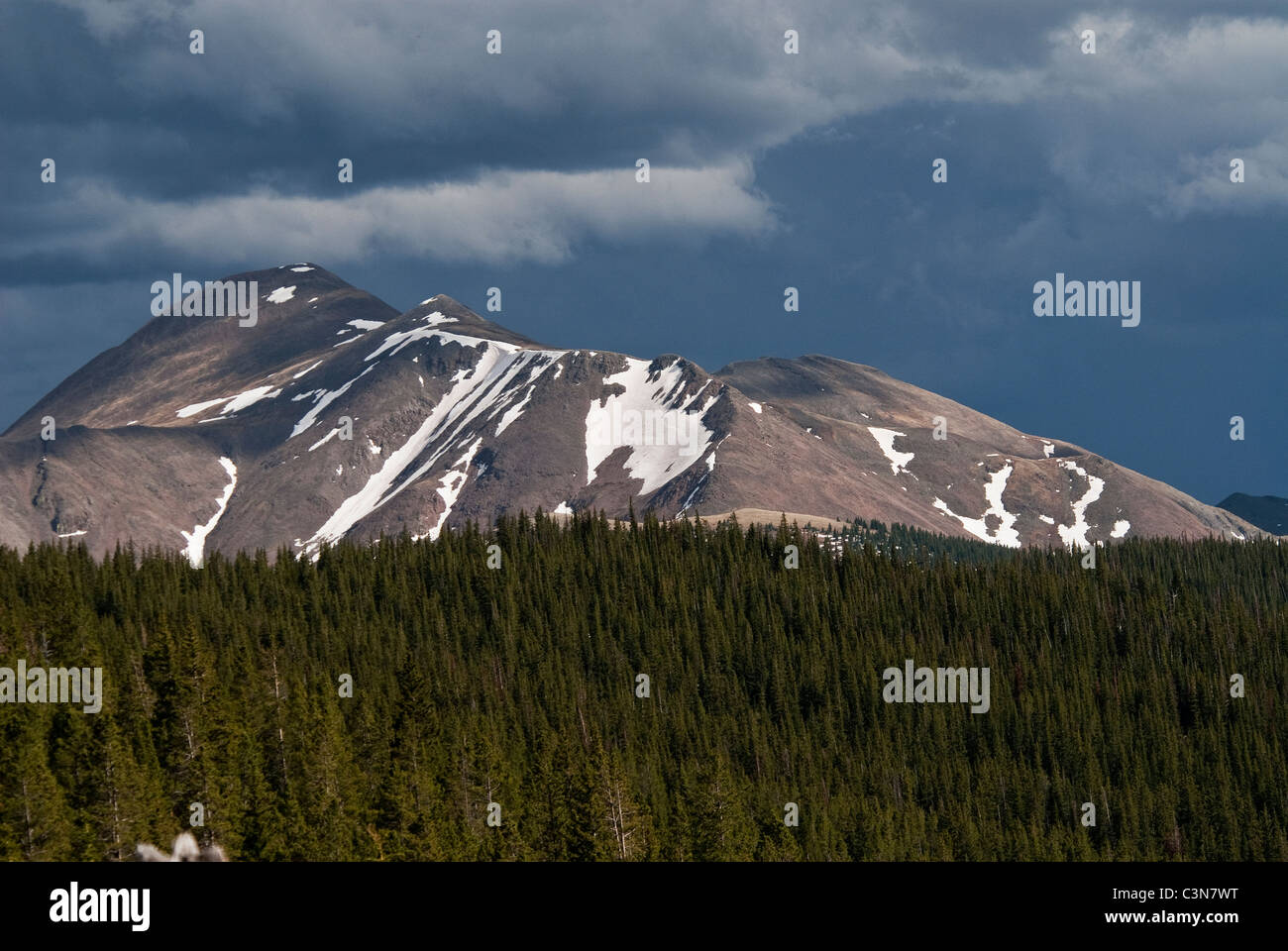 Antora Peak von CDT in der Nähe von Mashall Pass San Isabel National Forest Colorado USA Stockfoto
