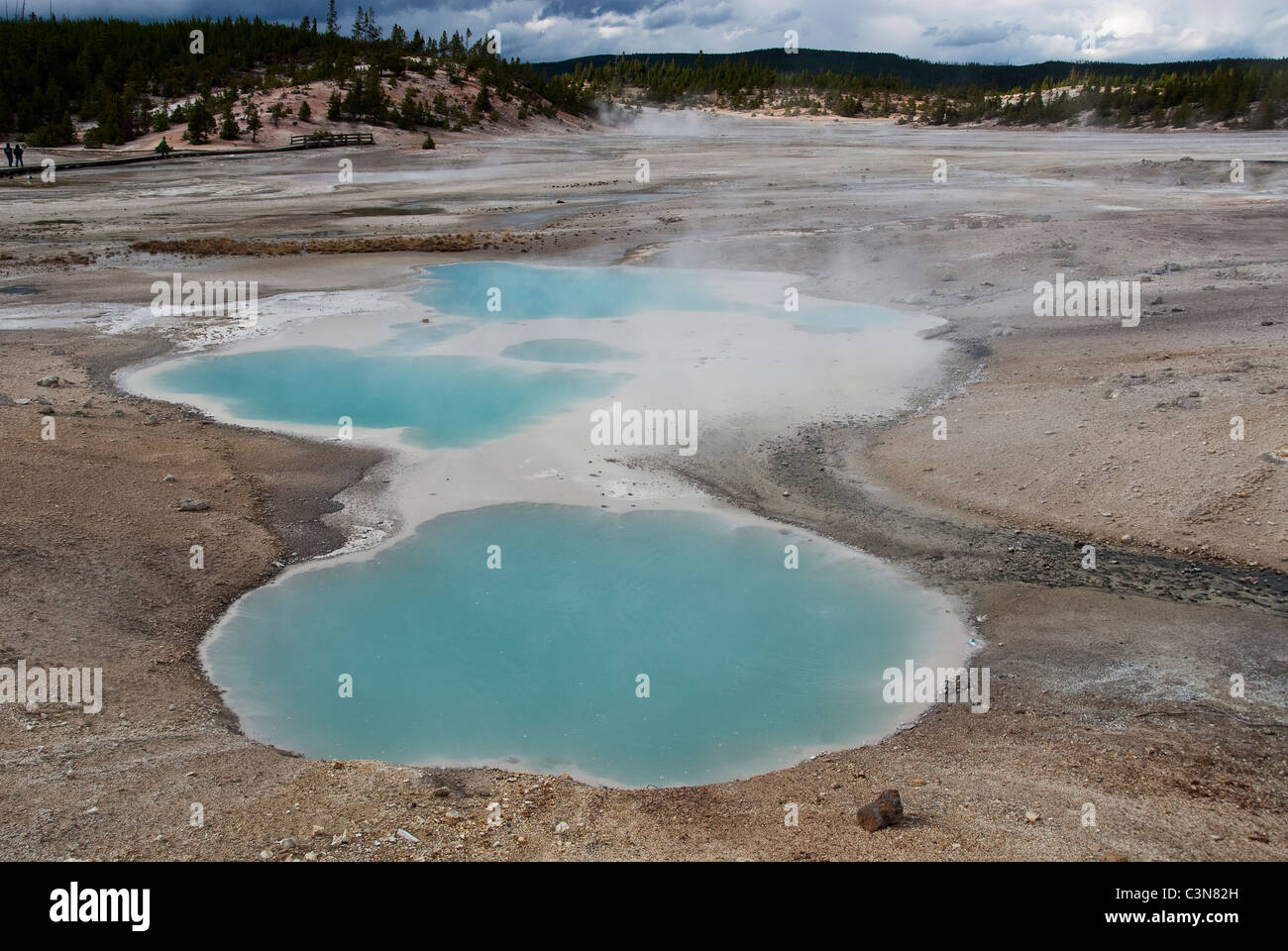 Kolloidales Pool Norris Geyser Basin Yellowstone-Nationalpark Wyoming USA Stockfoto