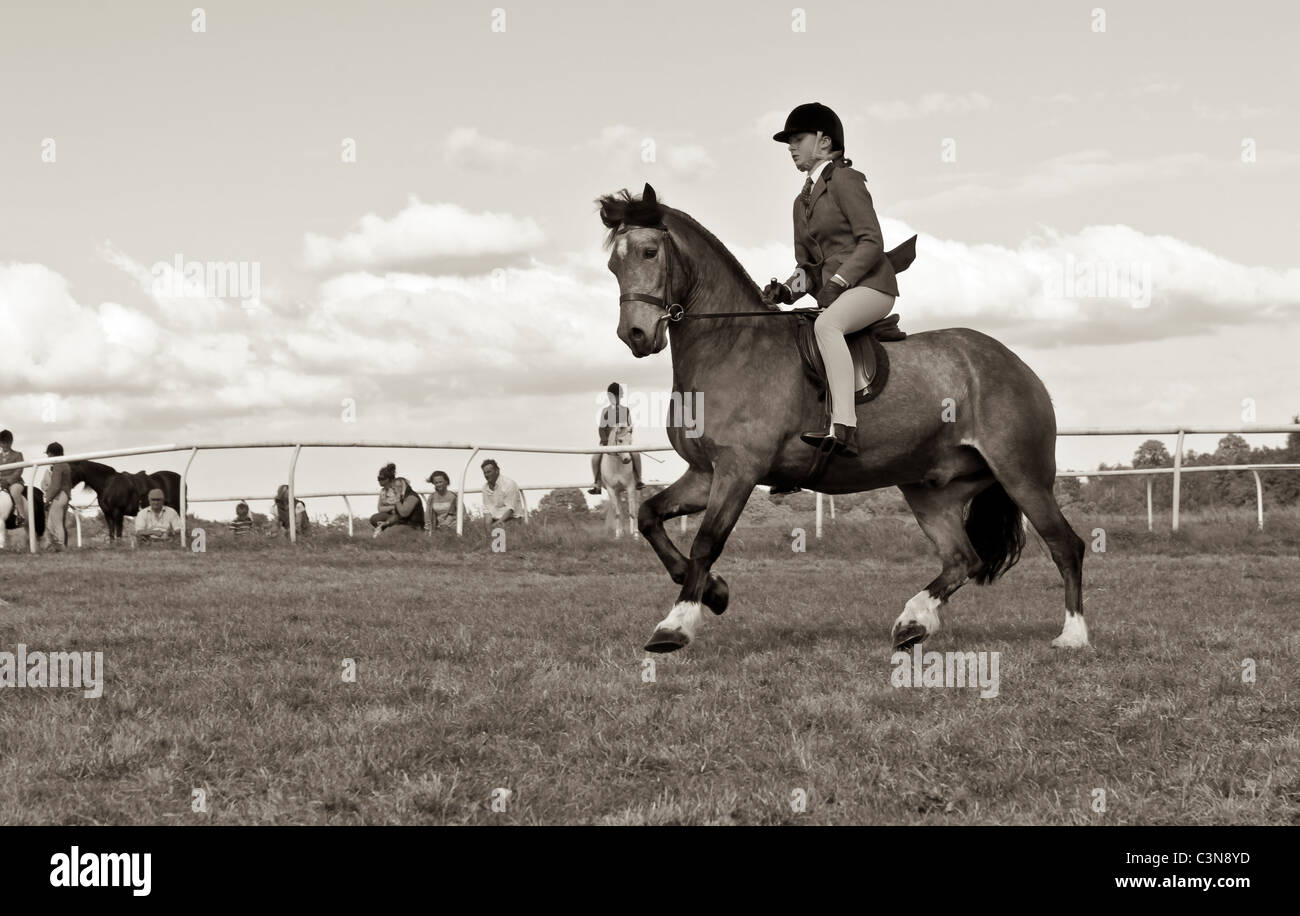 Monochromes Bild ein Jockey auf einem galoppierenden Pferd auf der South Suffolk Show 2011 Stockfoto