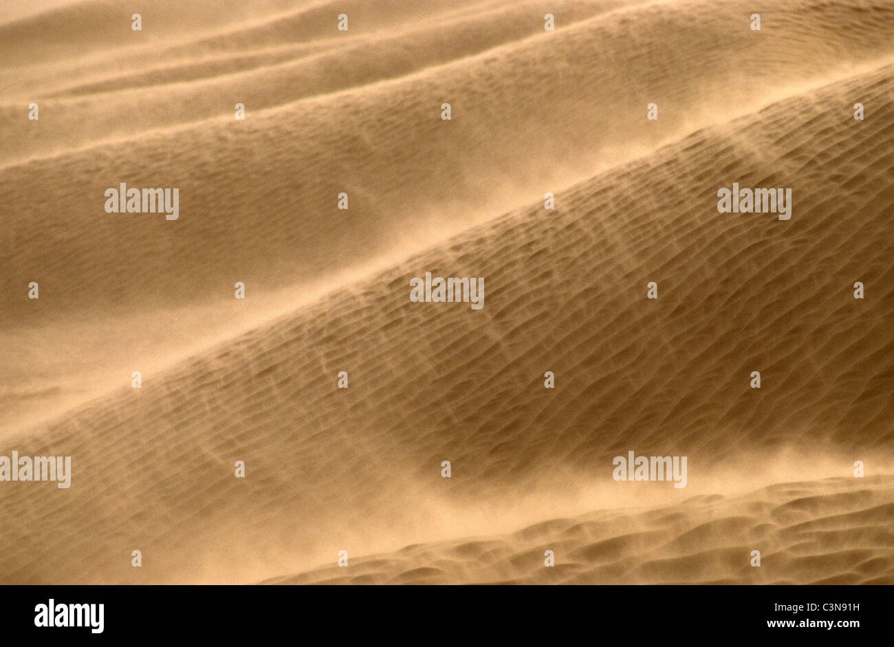 Tunesien, Douz, Nahaufnahme der Sandsturm. Stockfoto