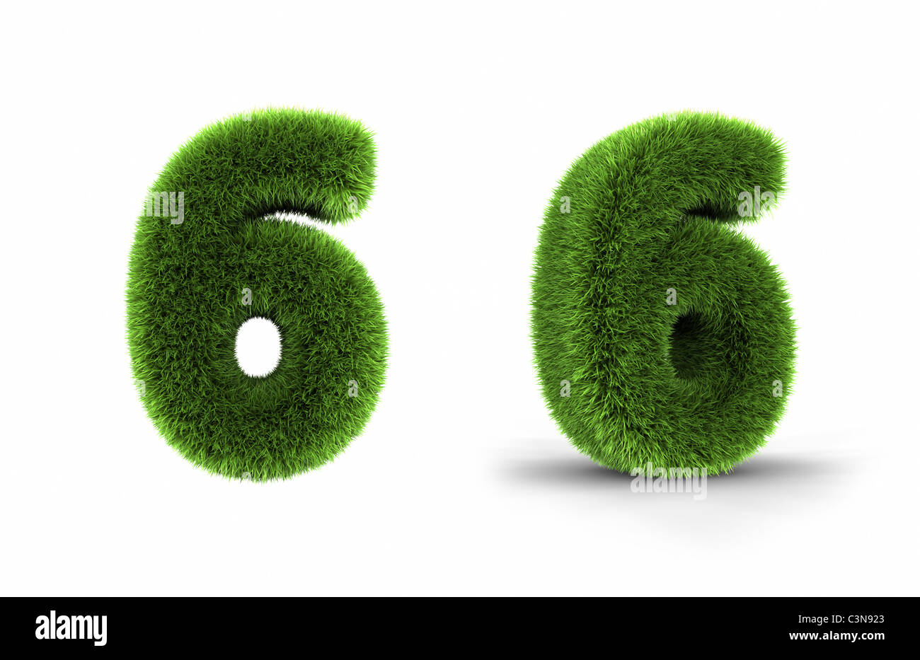 Grass Nummer sechs, isoliert auf weißem Hintergrund, 6 Stockfoto