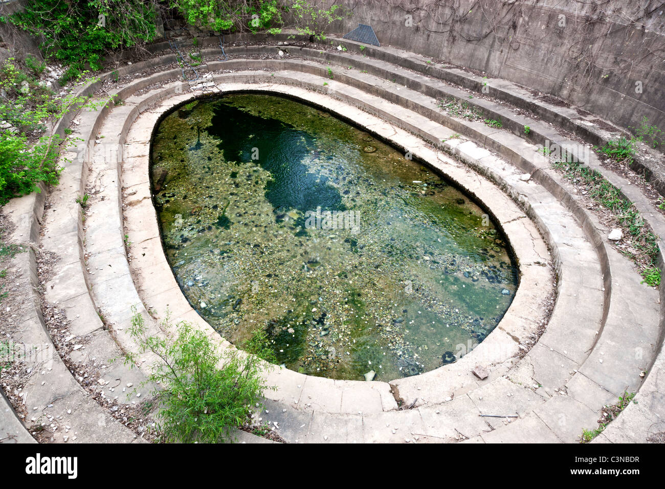Eliza Springs, Enclosure, Barton Springs & Austin Blind Salamander Stockfotografie Alamy