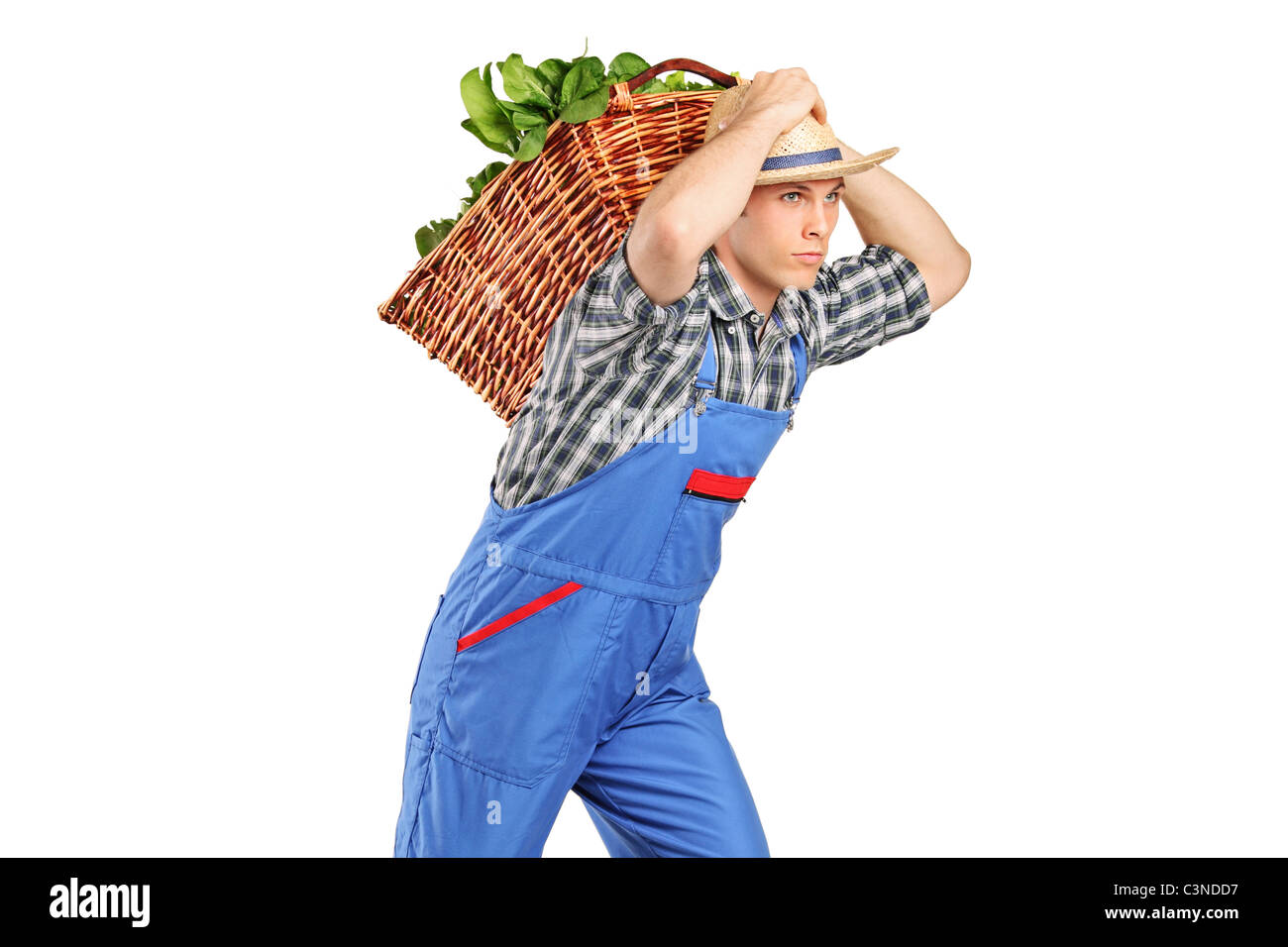 Landwirt ein Korb voll mit Gemüse auf dem Rücken Stockfoto