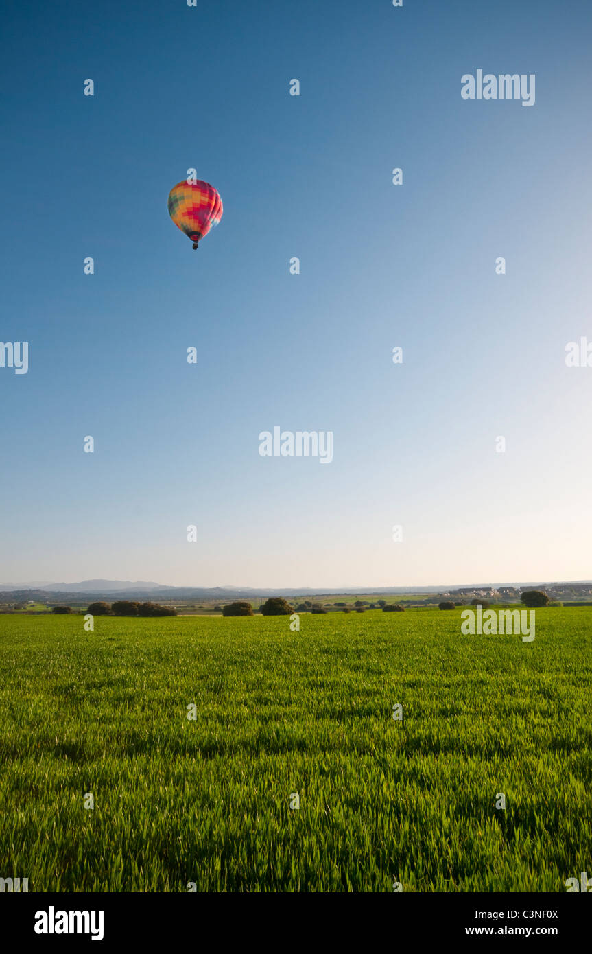 Ein Multi farbige Heißluftballon erhebt sich über einem Weizenfeld Frühjahr vor einem blauen Himmel in der frühen Morgensonne. Stockfoto