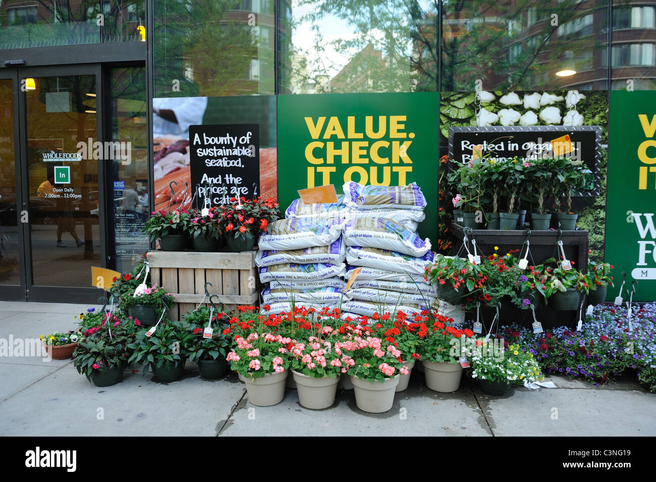 Pflanzen und Mulch für Verkauf bei Whole Foods Market in Manhattan. Stockfoto