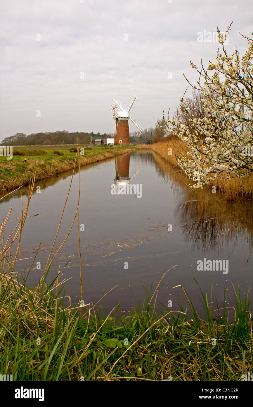 Horsey Mühle oder Horsey Wind Pumpe Stockfoto