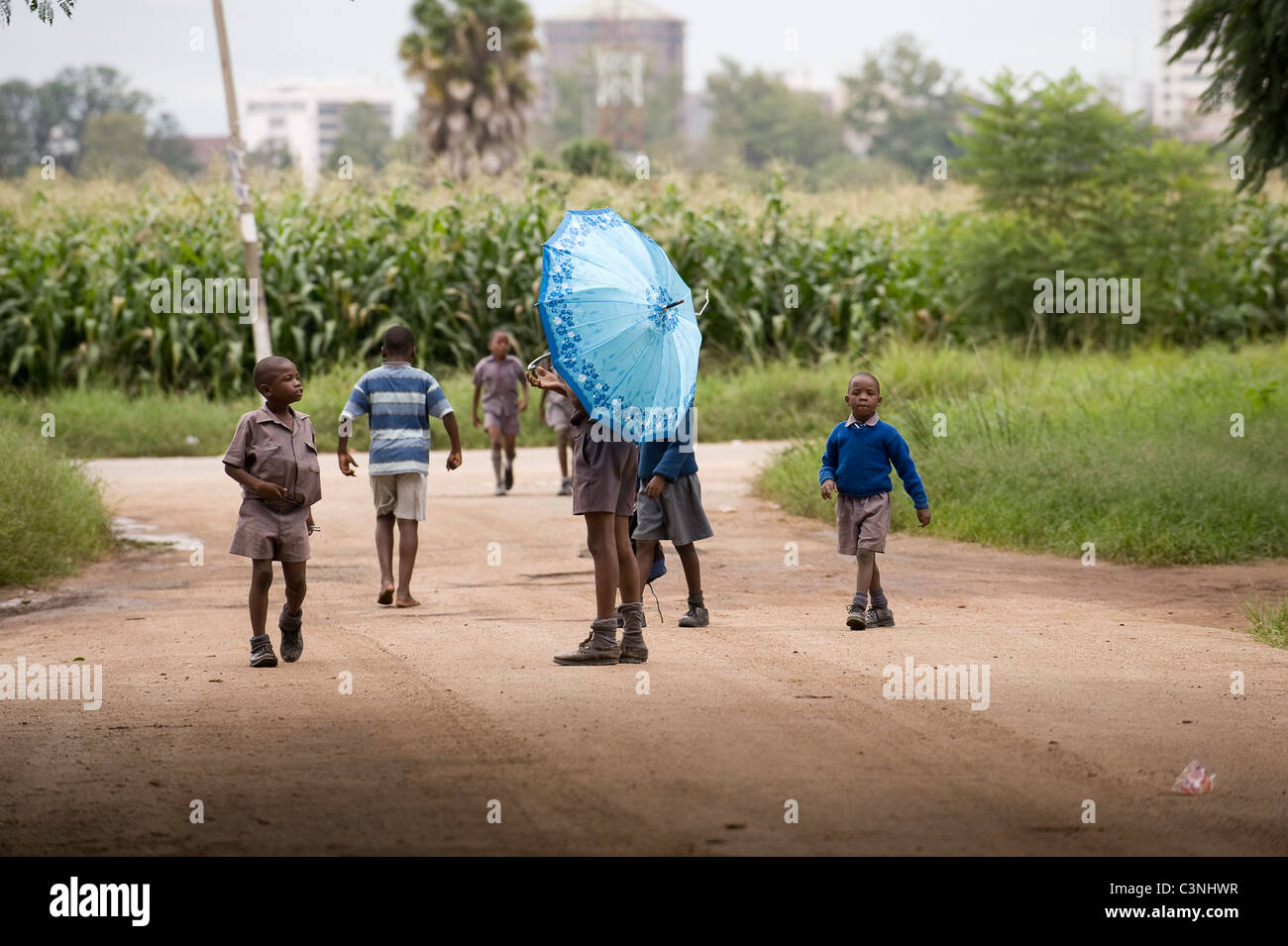 Schülerinnen und Schüler spielen auf der Straße auf dem Heimweg von der Schule eine hat einen Regenschirm. Arcadia, Harare, Simbabwe. Stockfoto