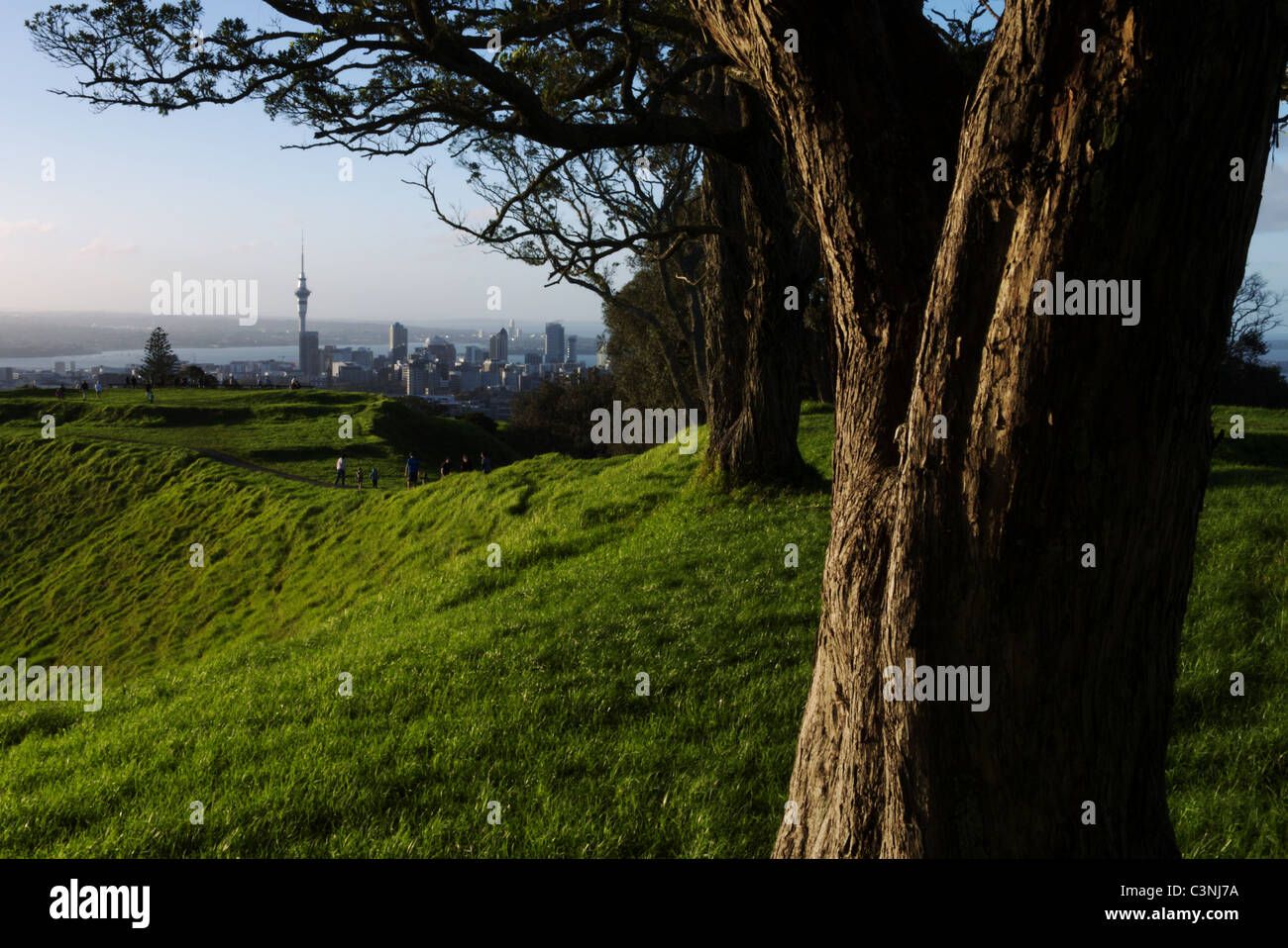 Auckland Skyline einschließlich Sky Tower gesehen vom Mt Eden, der höchste natürliche Punkt in Auckland. Stockfoto