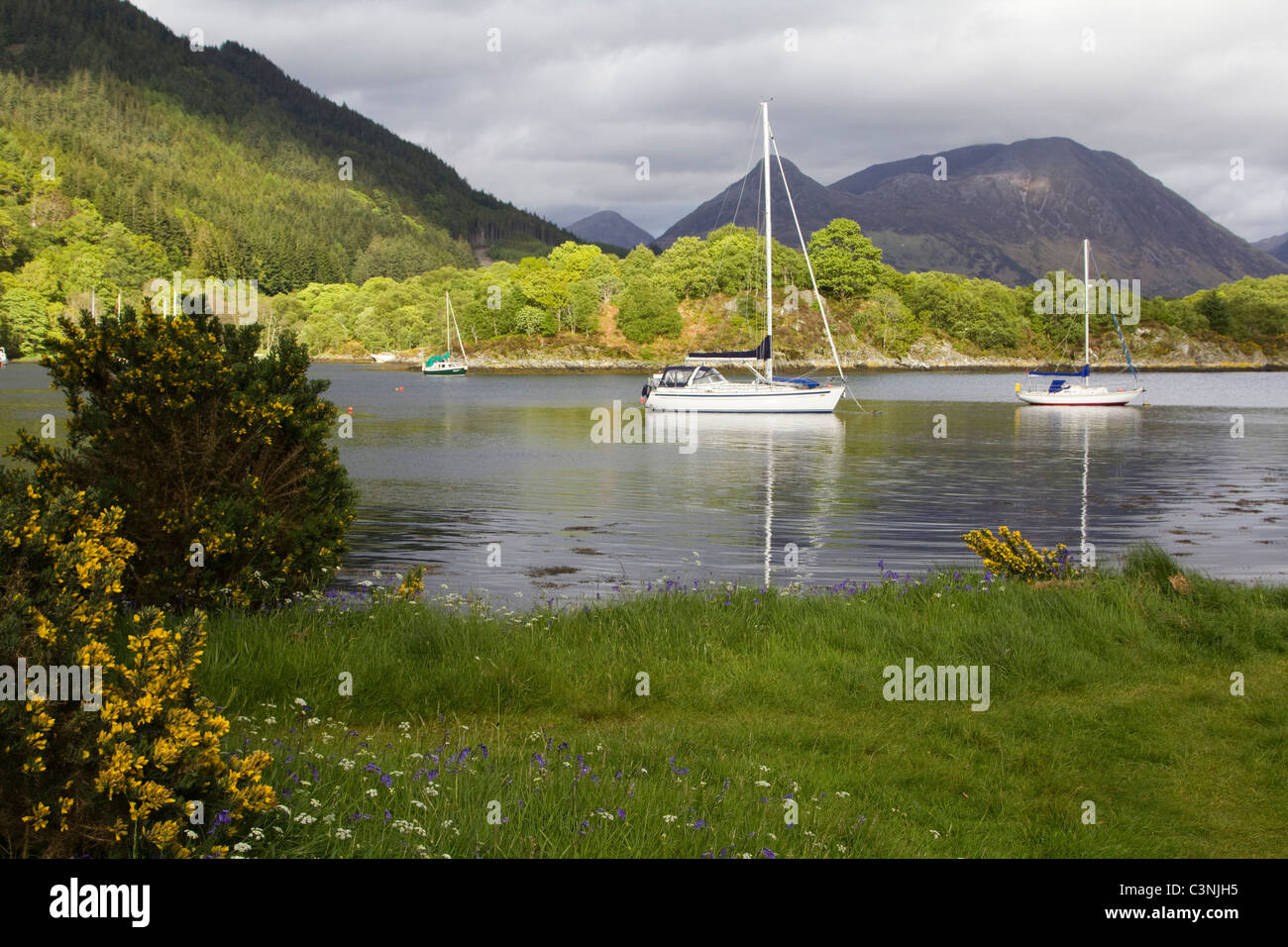 schottischen Highlands in der Nähe von Glencoe Loch Linnhe Schottland Stockfoto