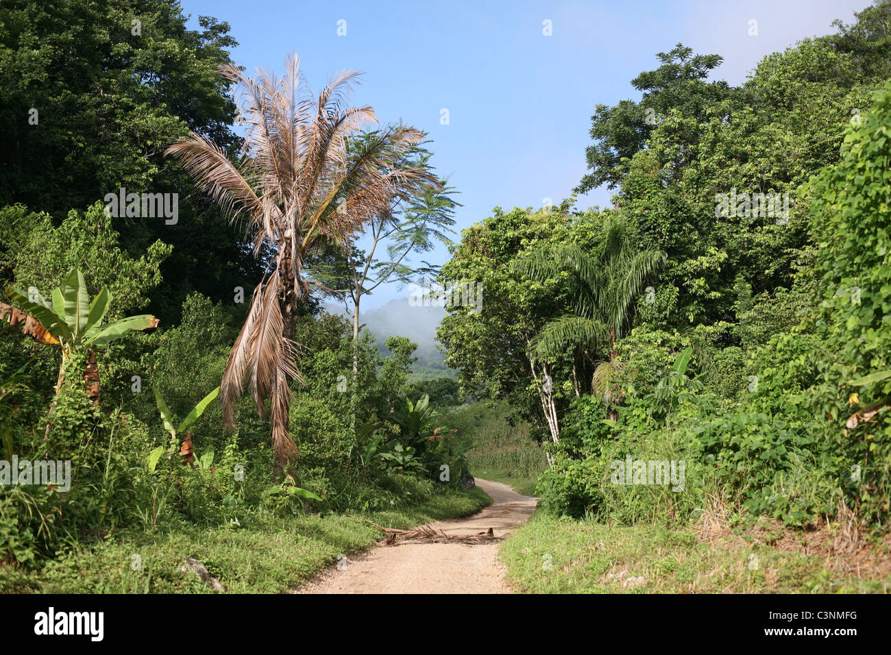 Der Weg zum Semuc Champey. Alta Verapaz, Guatemala, Mittelamerika Stockfoto