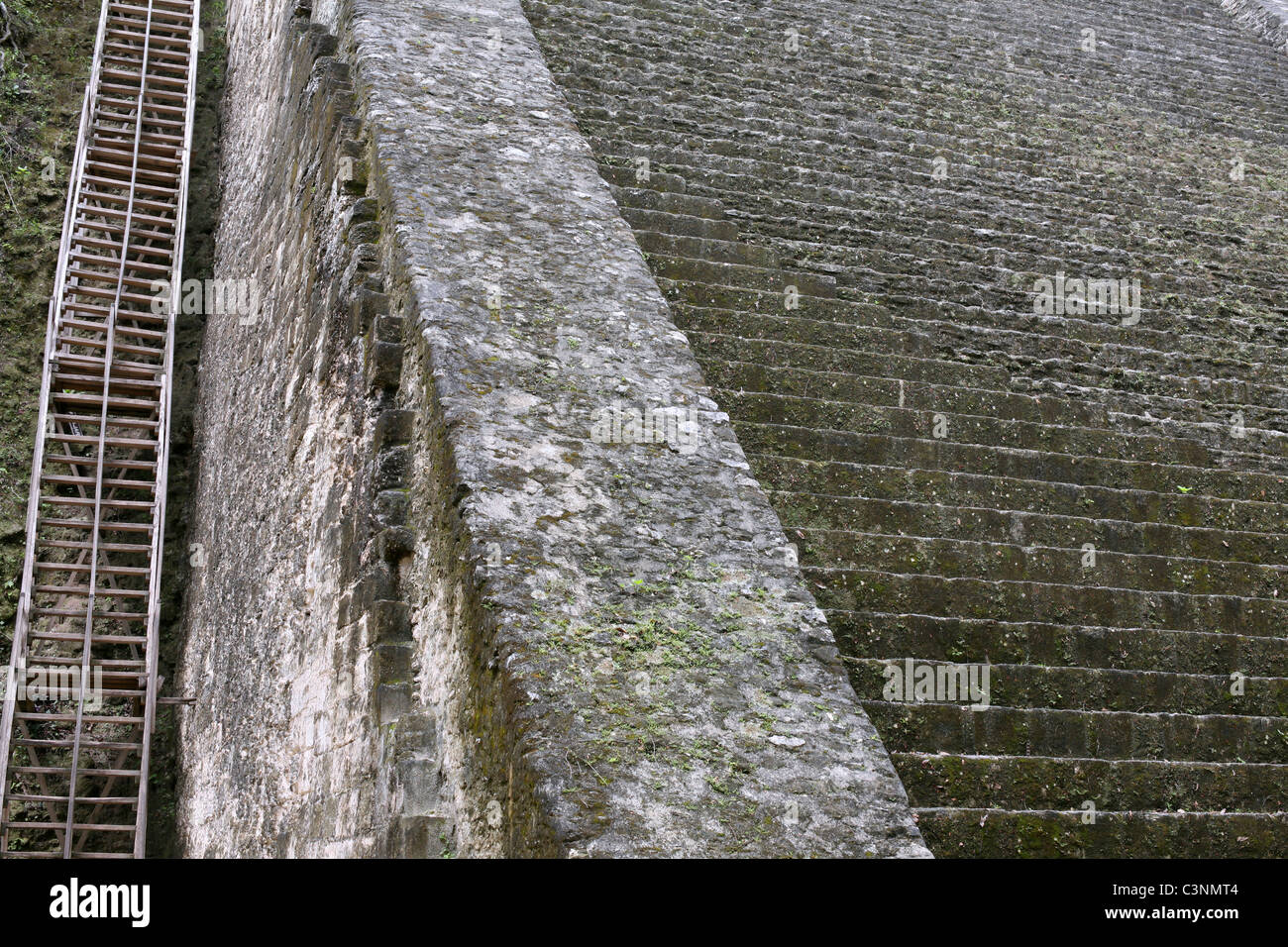 Steile Steinstufen Tempel v in Tikal und steiler Holztreppe Tourist als ursprüngliche Schritte sind zu gefährlich. Stockfoto