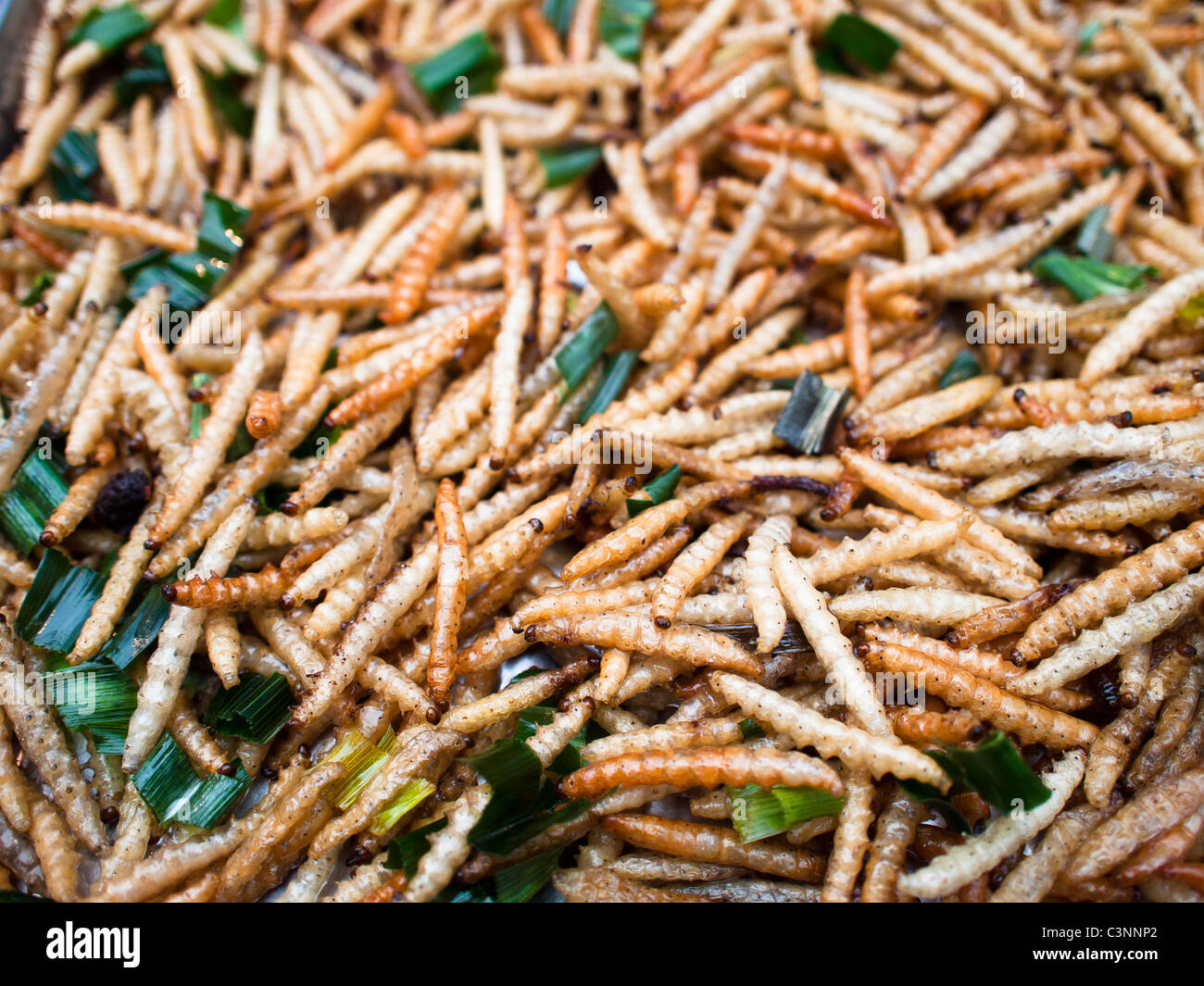 Frittierte Bambus Raupen Stockfotografie - Alamy