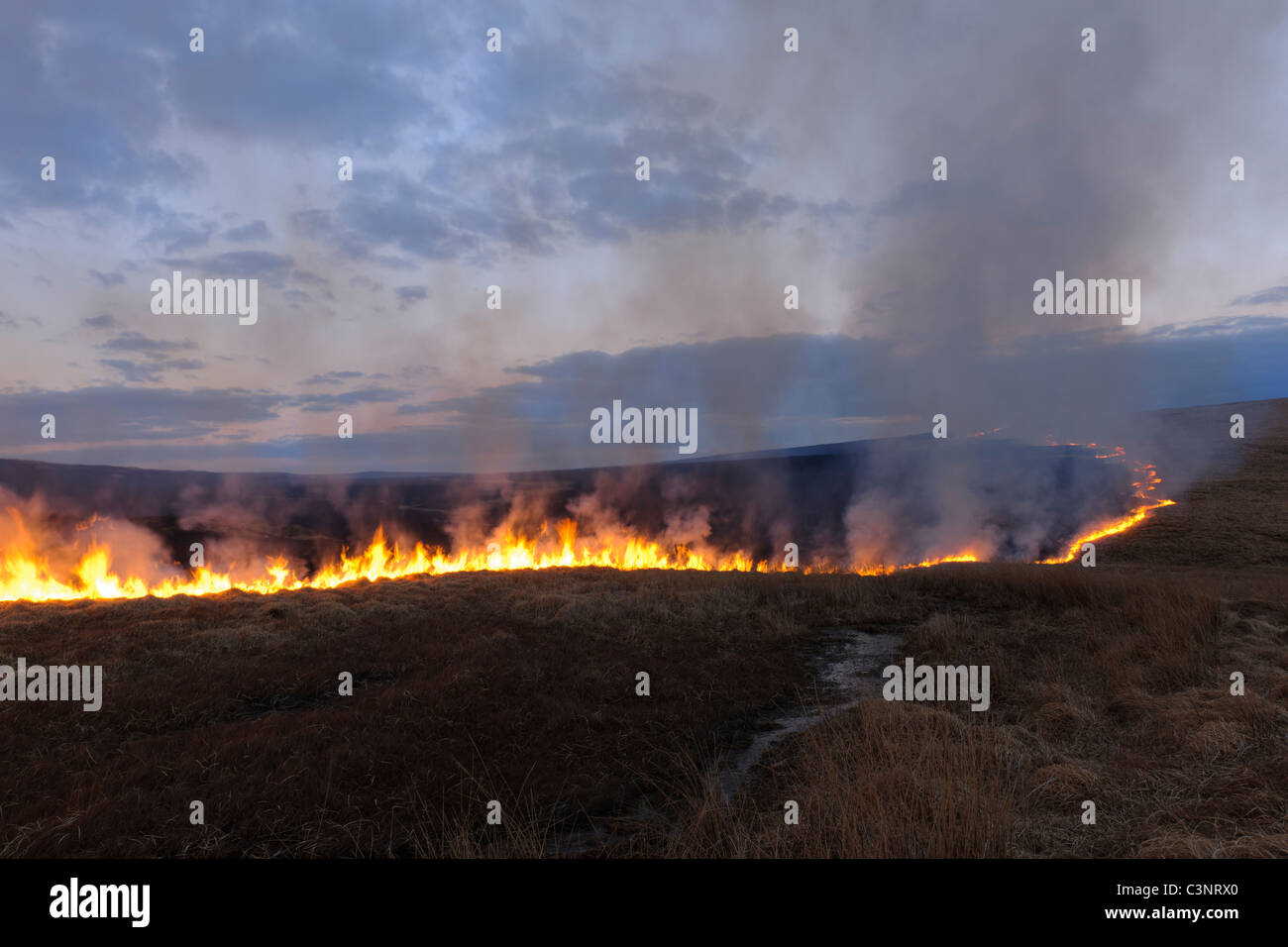 Grass Feuer über dem Elan-Tal Stockfoto