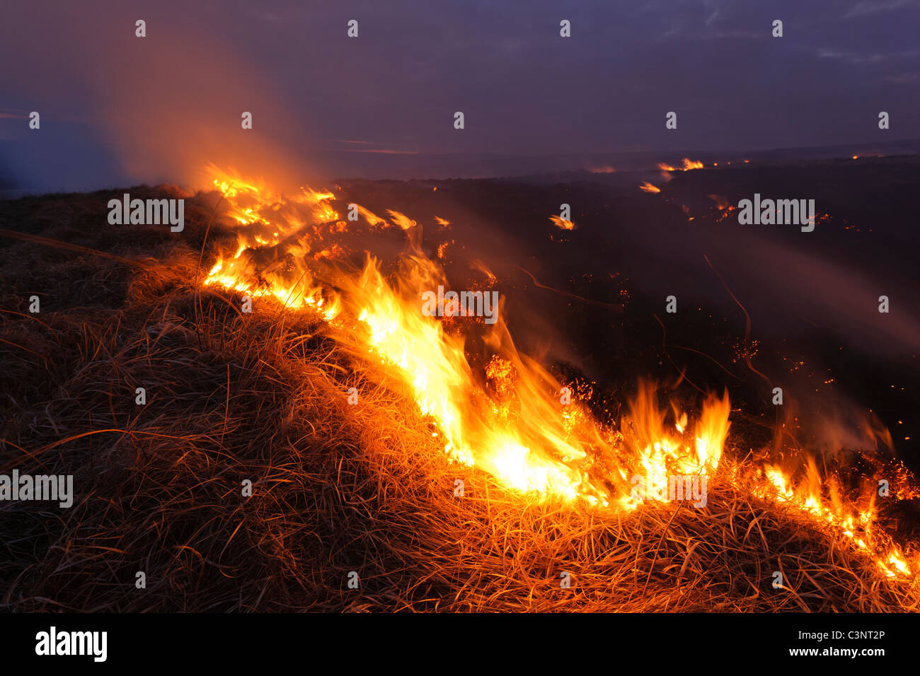 Grass Feuer über dem Elan-Tal Stockfoto
