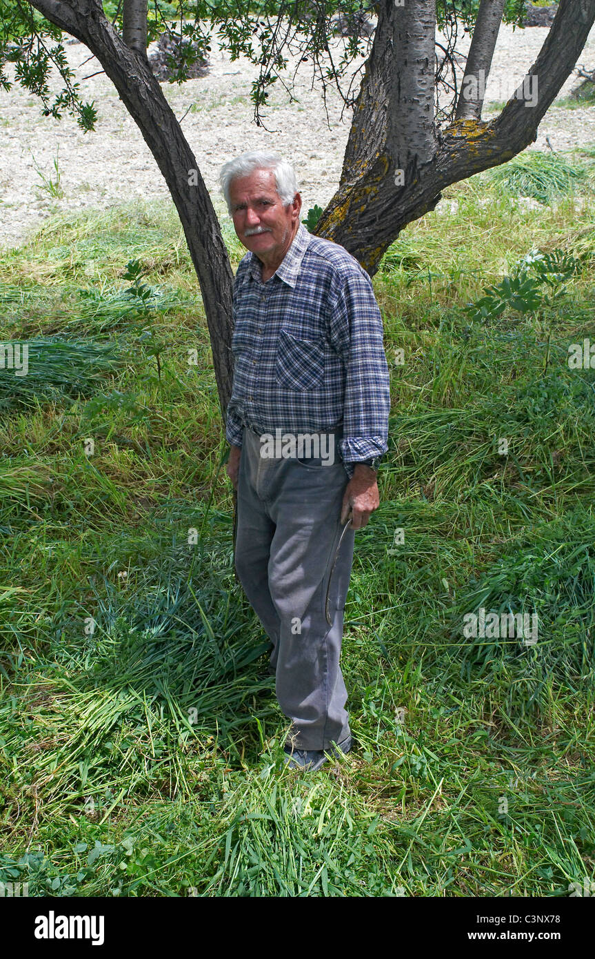 Der Besitzer des Weinbergs im Troodos-Gebirge arbeiten Weinberg Stockfoto