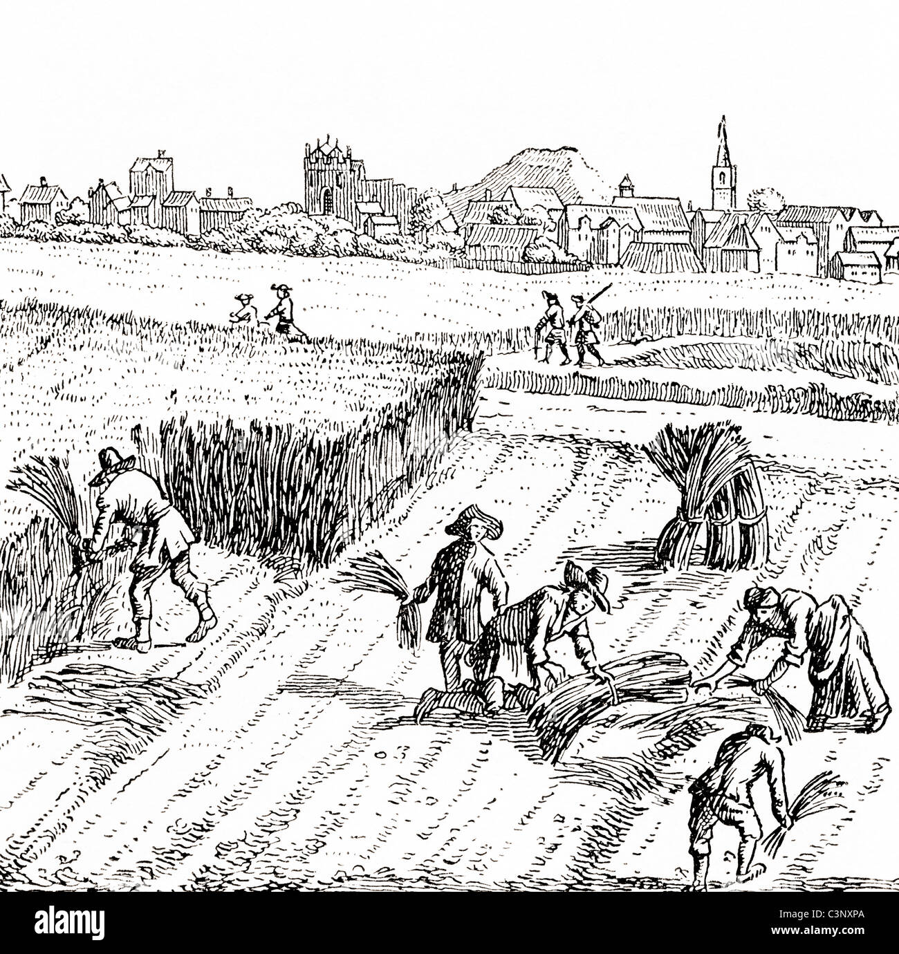 Ernte in der Mitte des 17. Jahrhunderts. Die Geschichte von England veröffentlicht 1930. Stockfoto