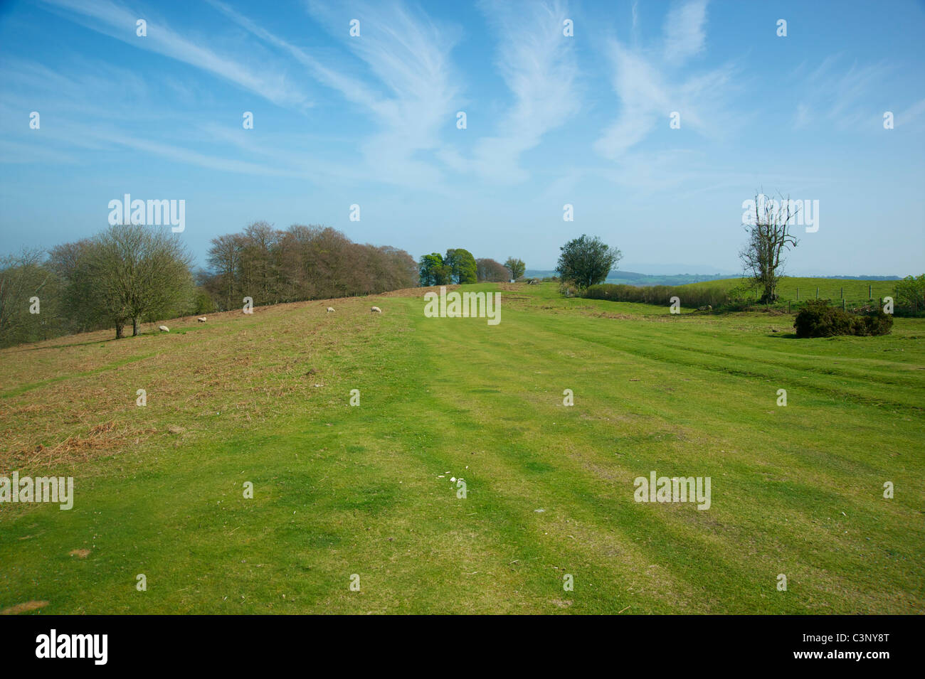 Abschnitt der Offa es Dyke Pfad auf Hergest Ridge, Kington, Herefordshire. Stockfoto